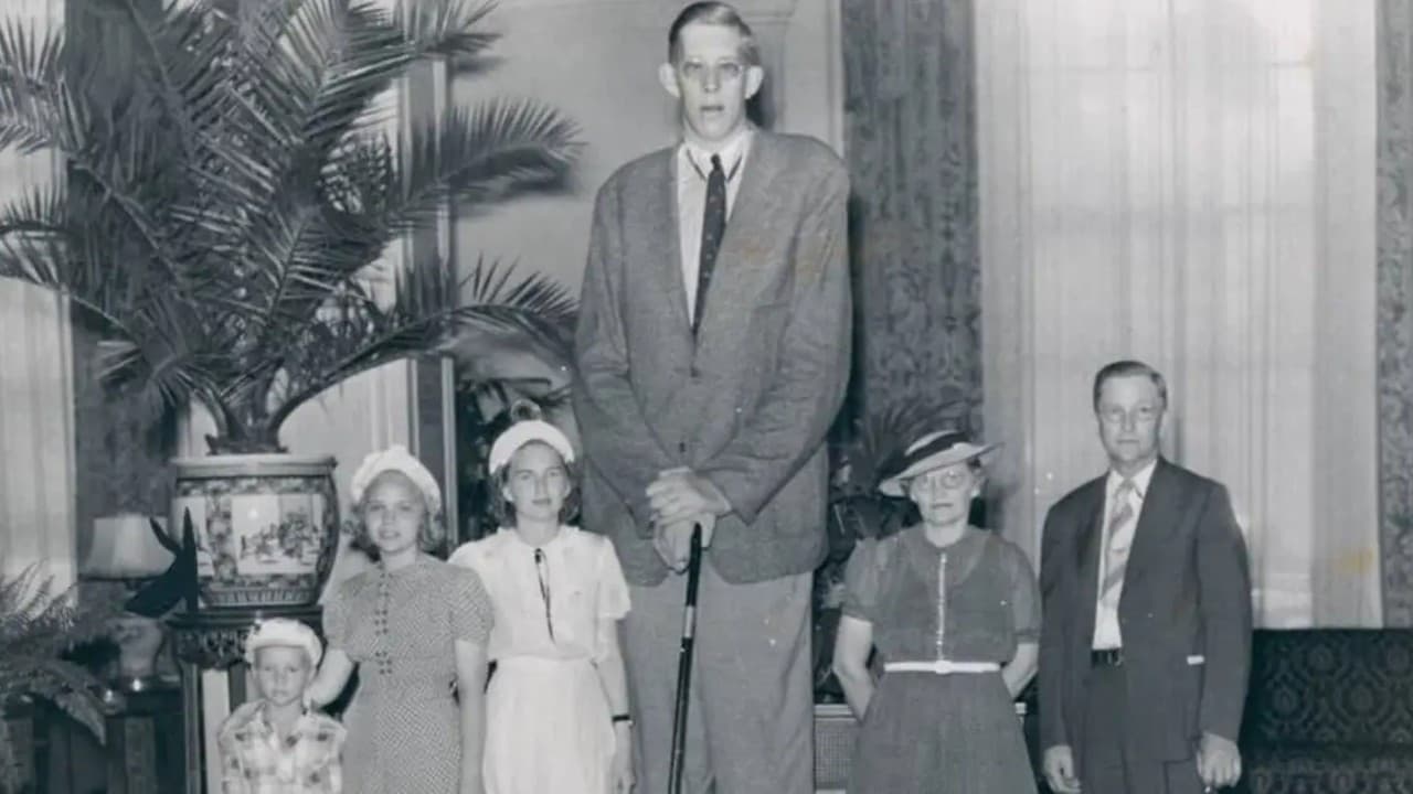 Robert Wadlow