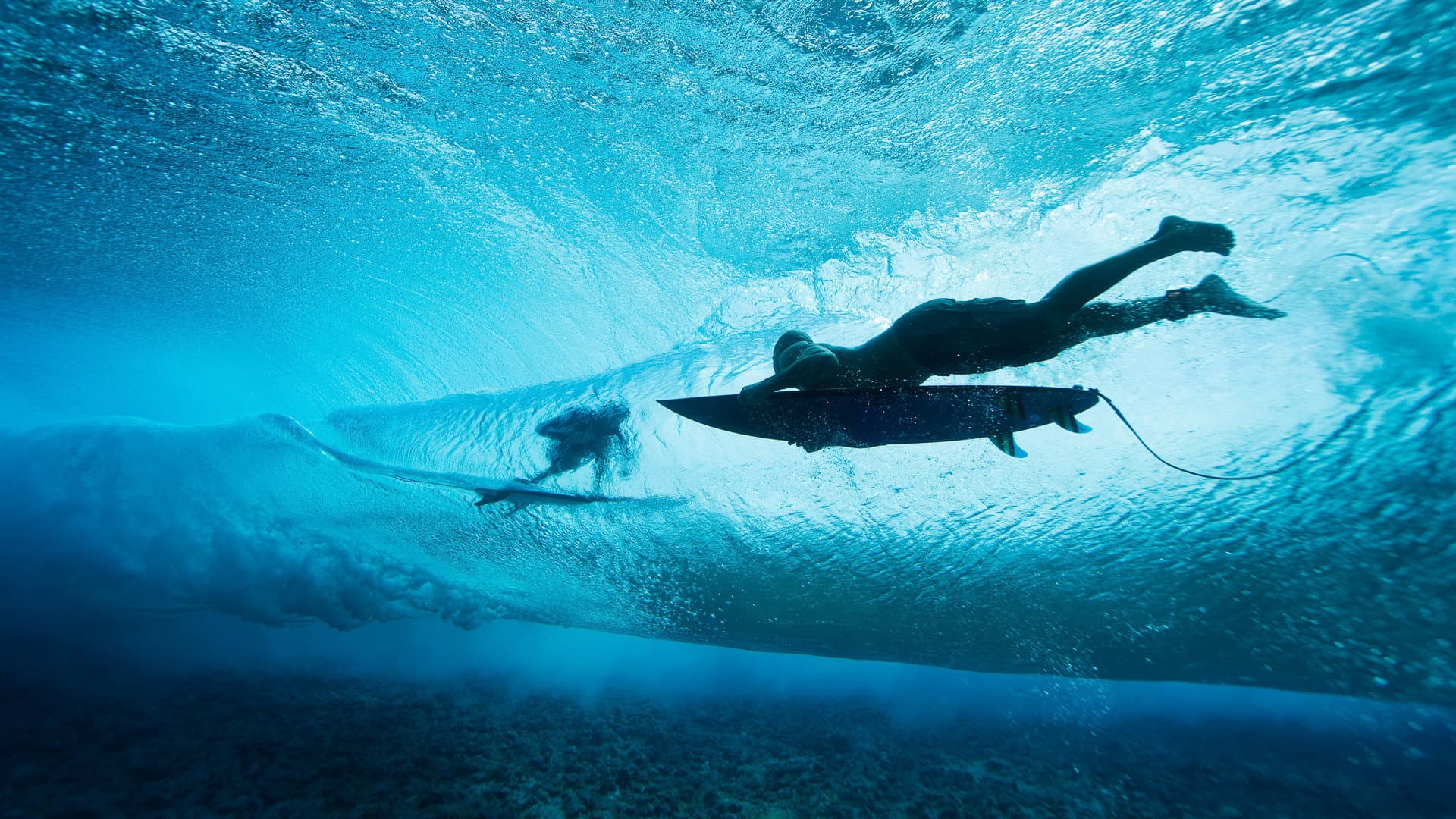 Craig Anderson