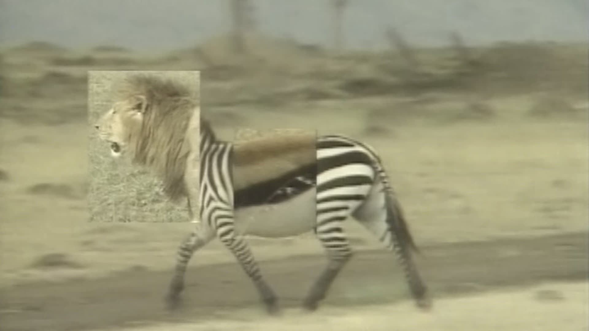 African Animal Puzzle