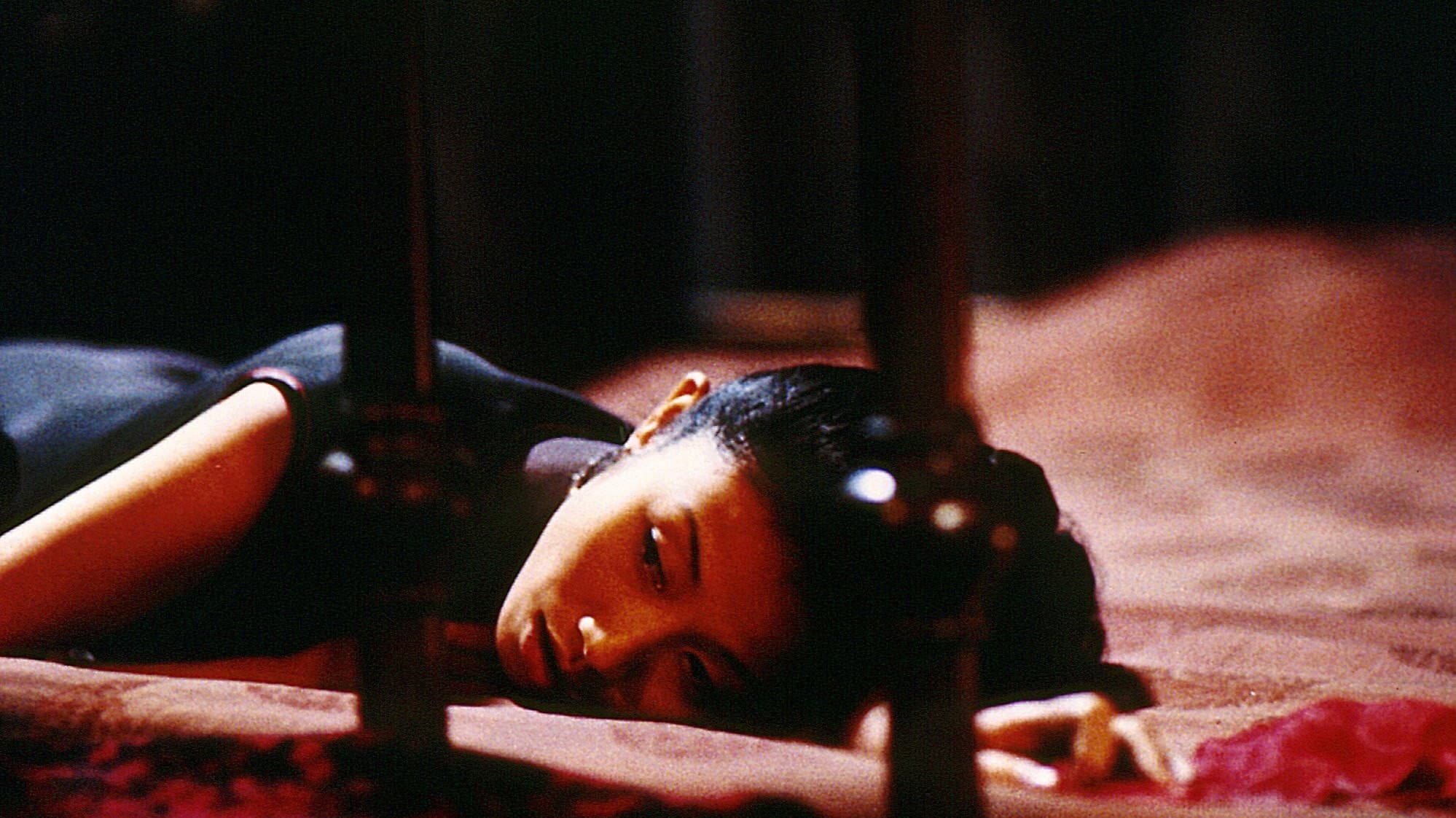 Jingfan Hu