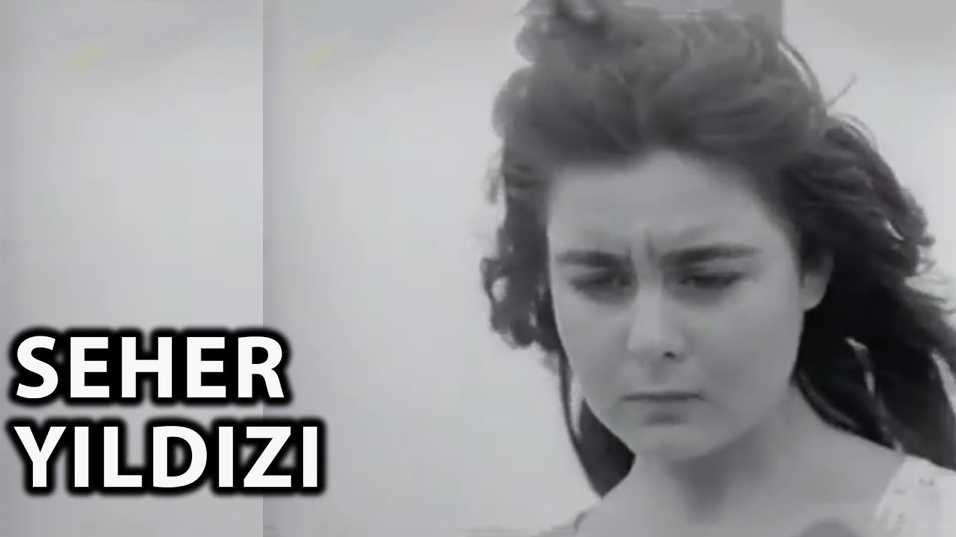 Papatya Alkaya