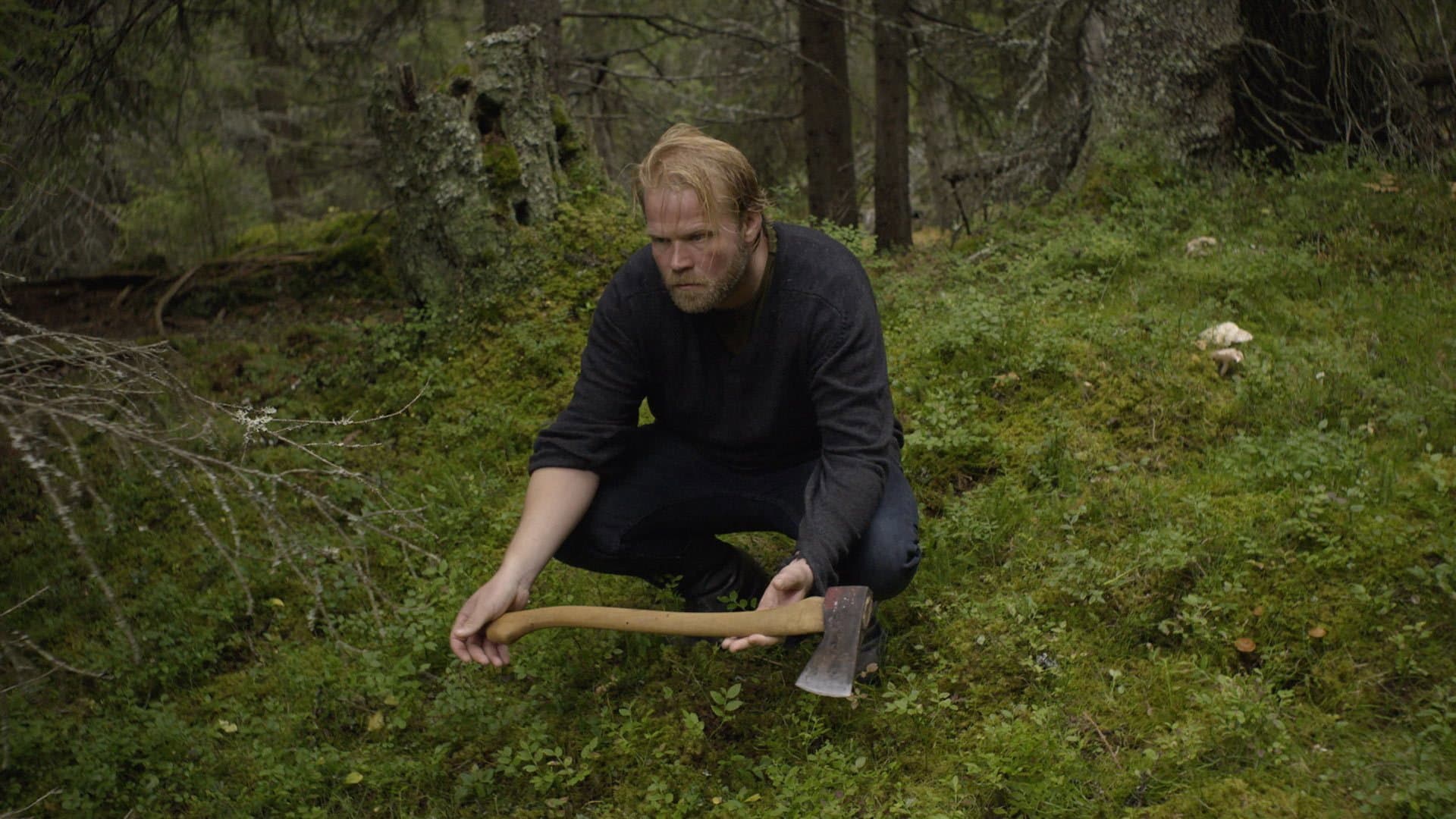 Terje Syversen