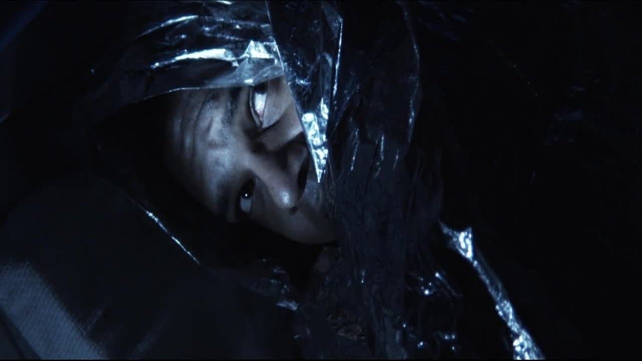 Sachiyo K