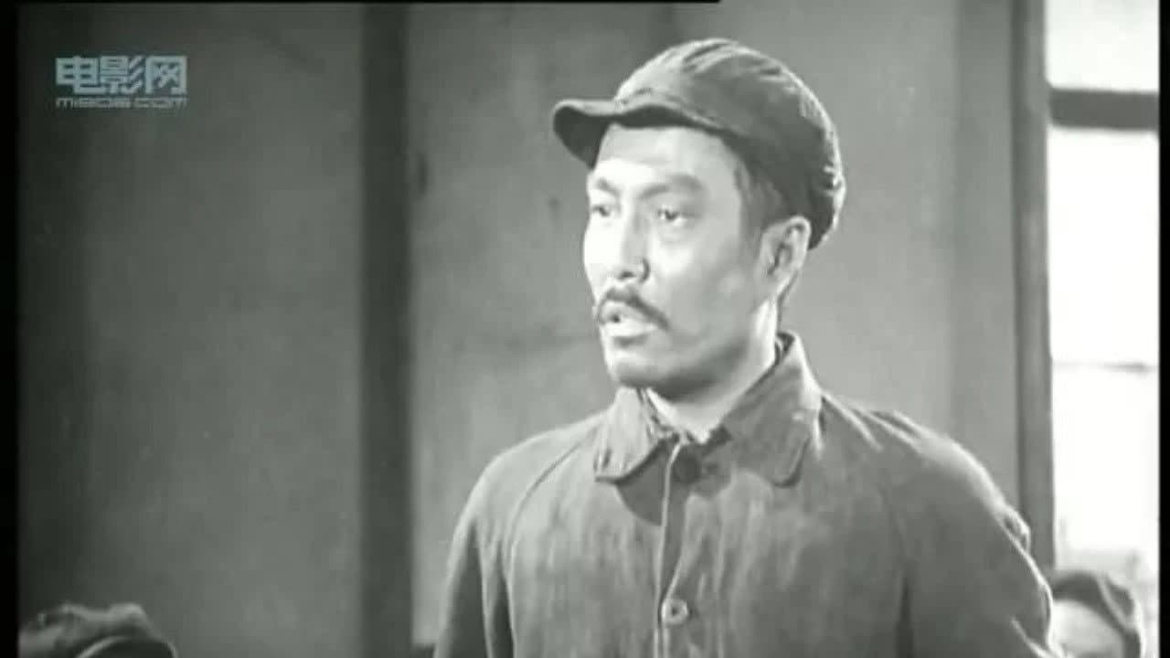Qi Zhang