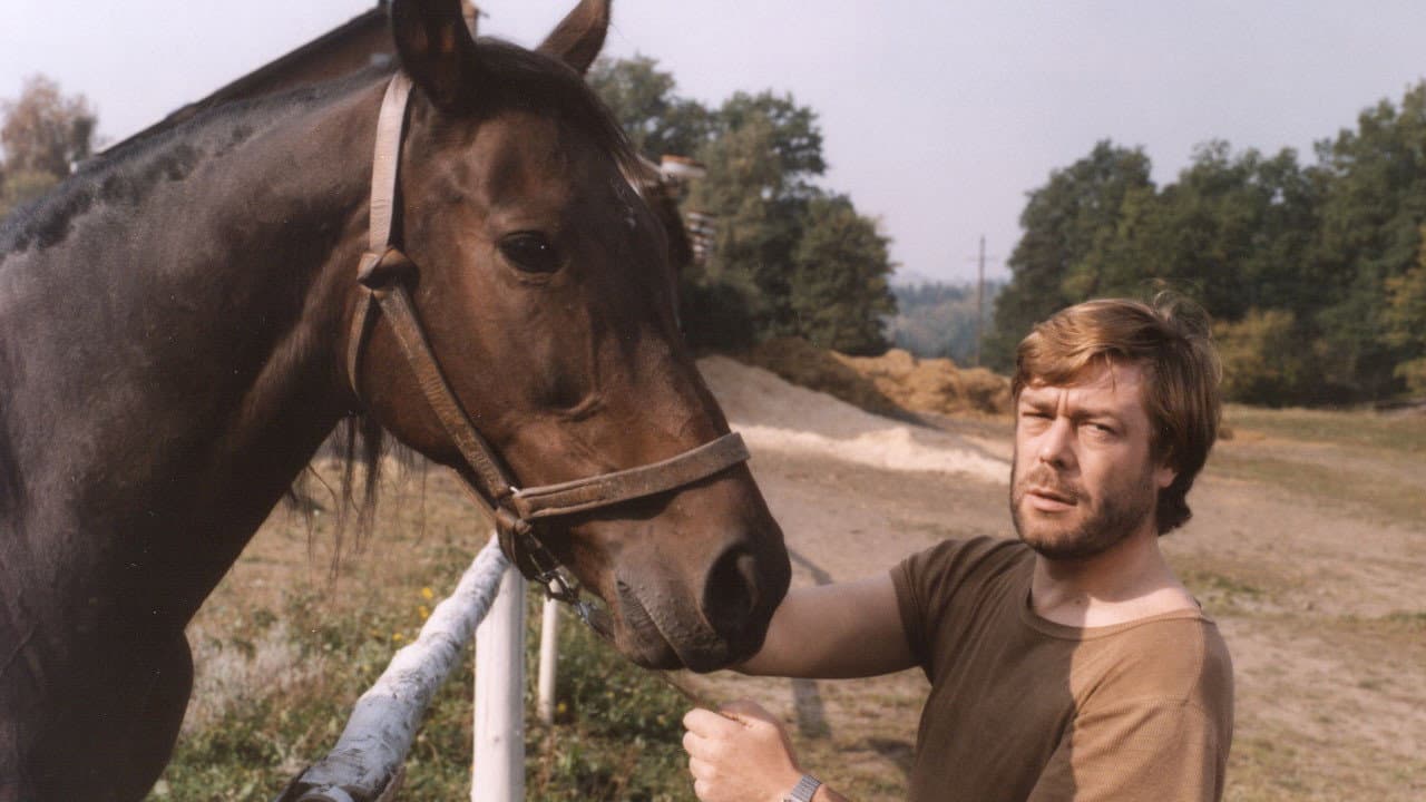 Zdeněk Dvořák
