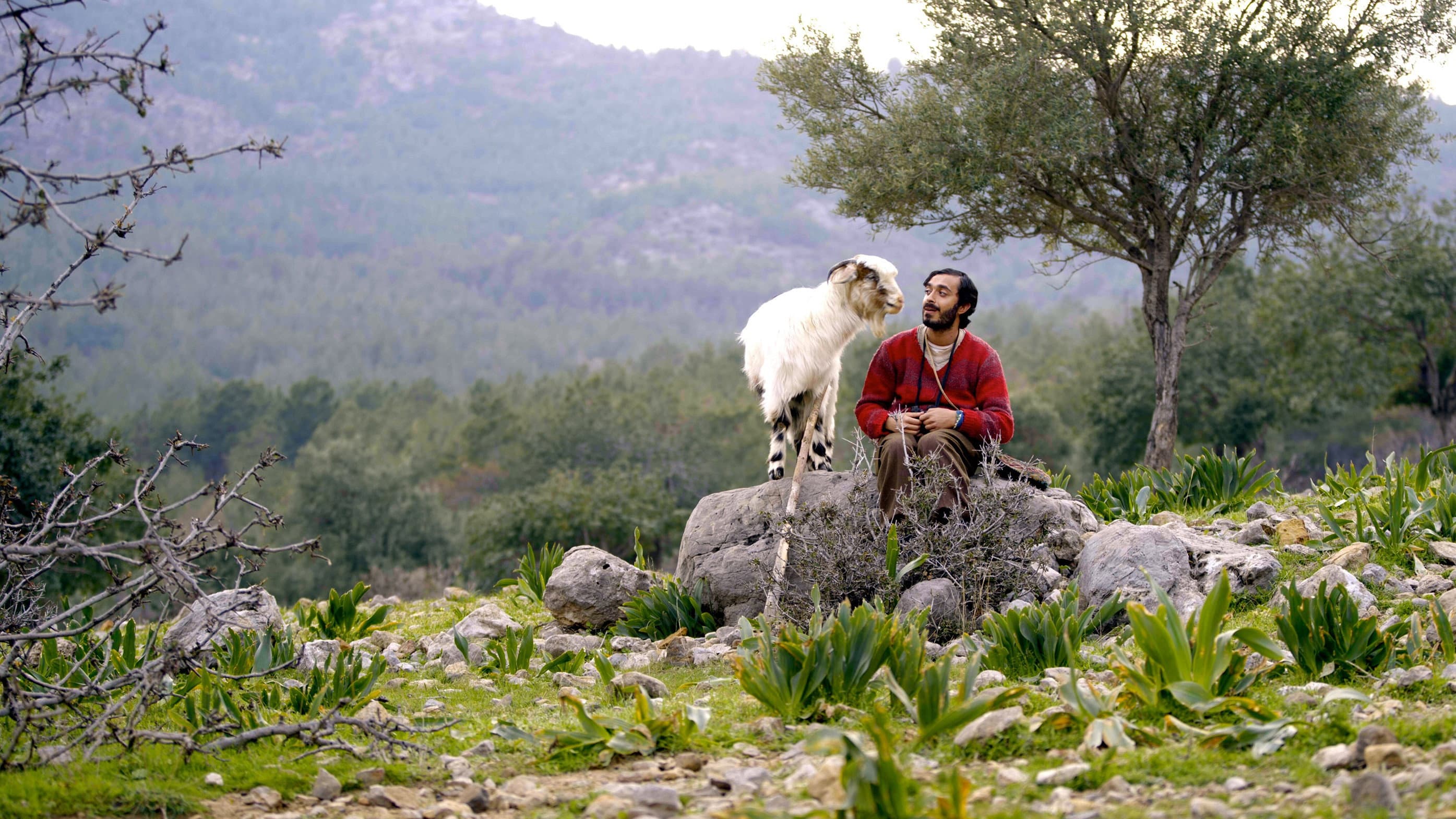 Timur Ölkebaş