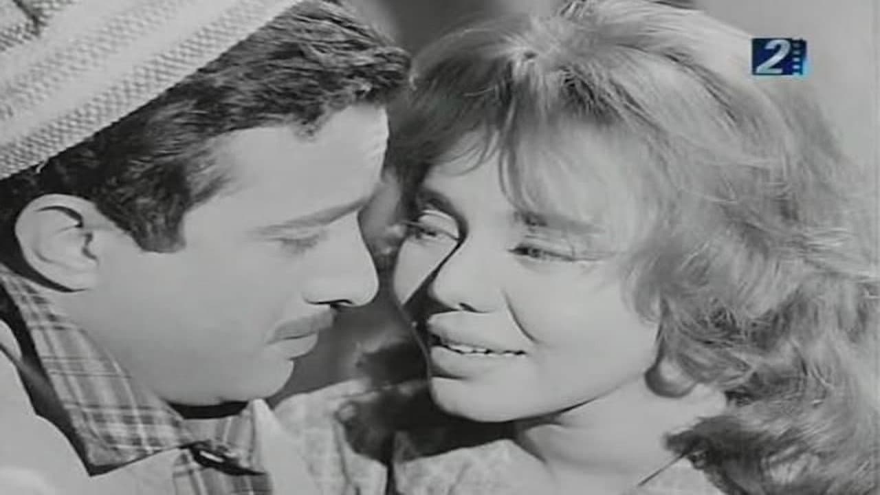 Seham Fathy