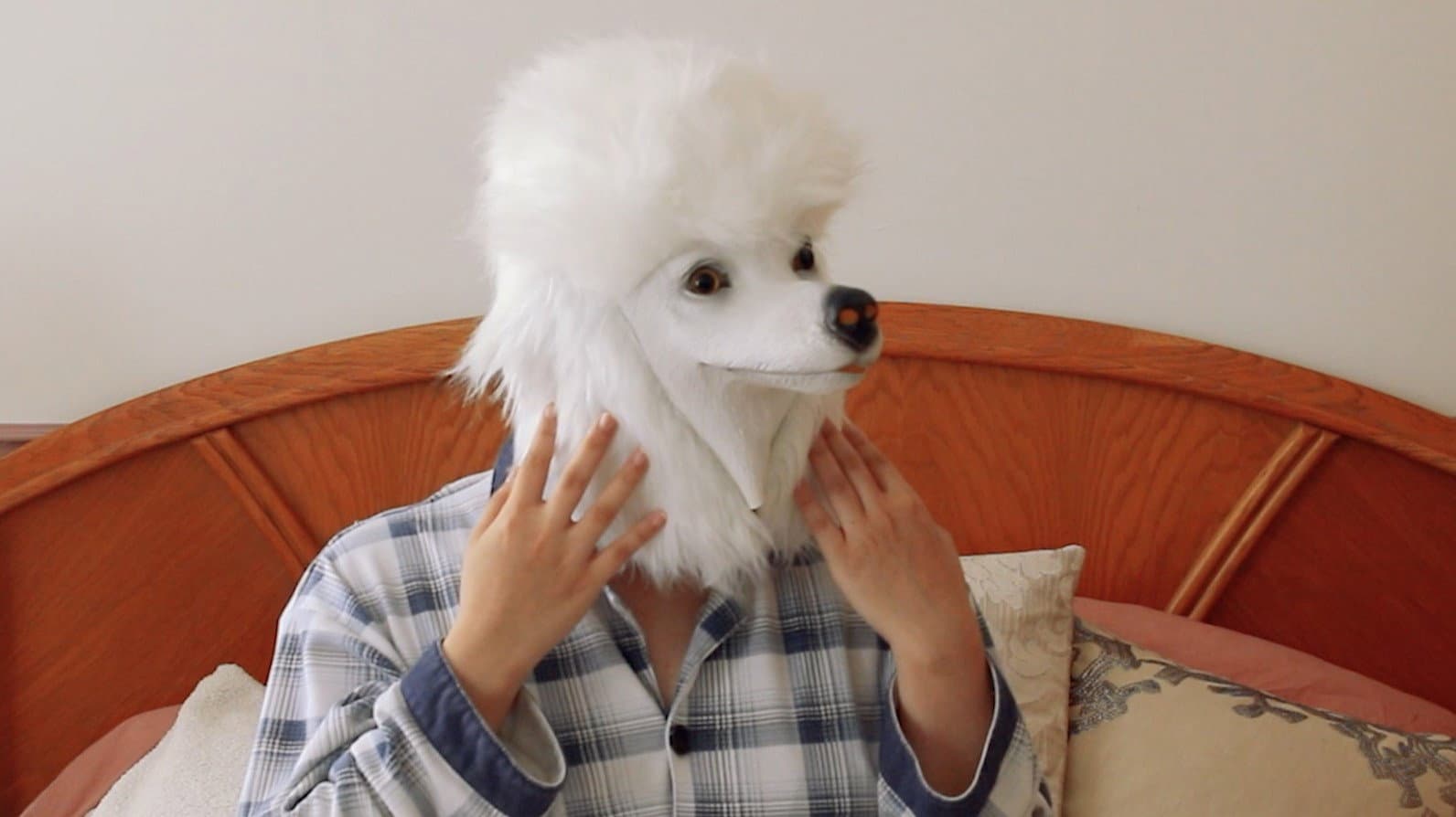 I Wish I Was A Dog