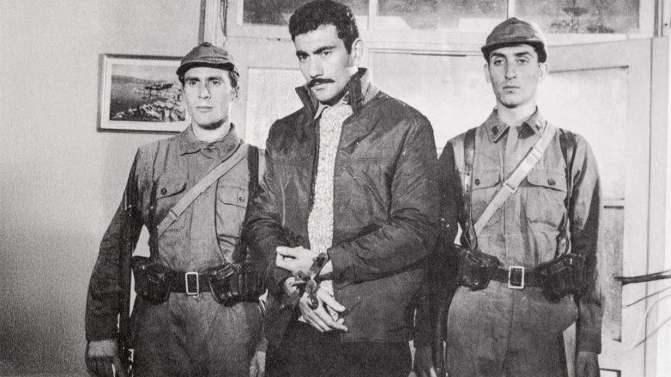 Hilal Esen
