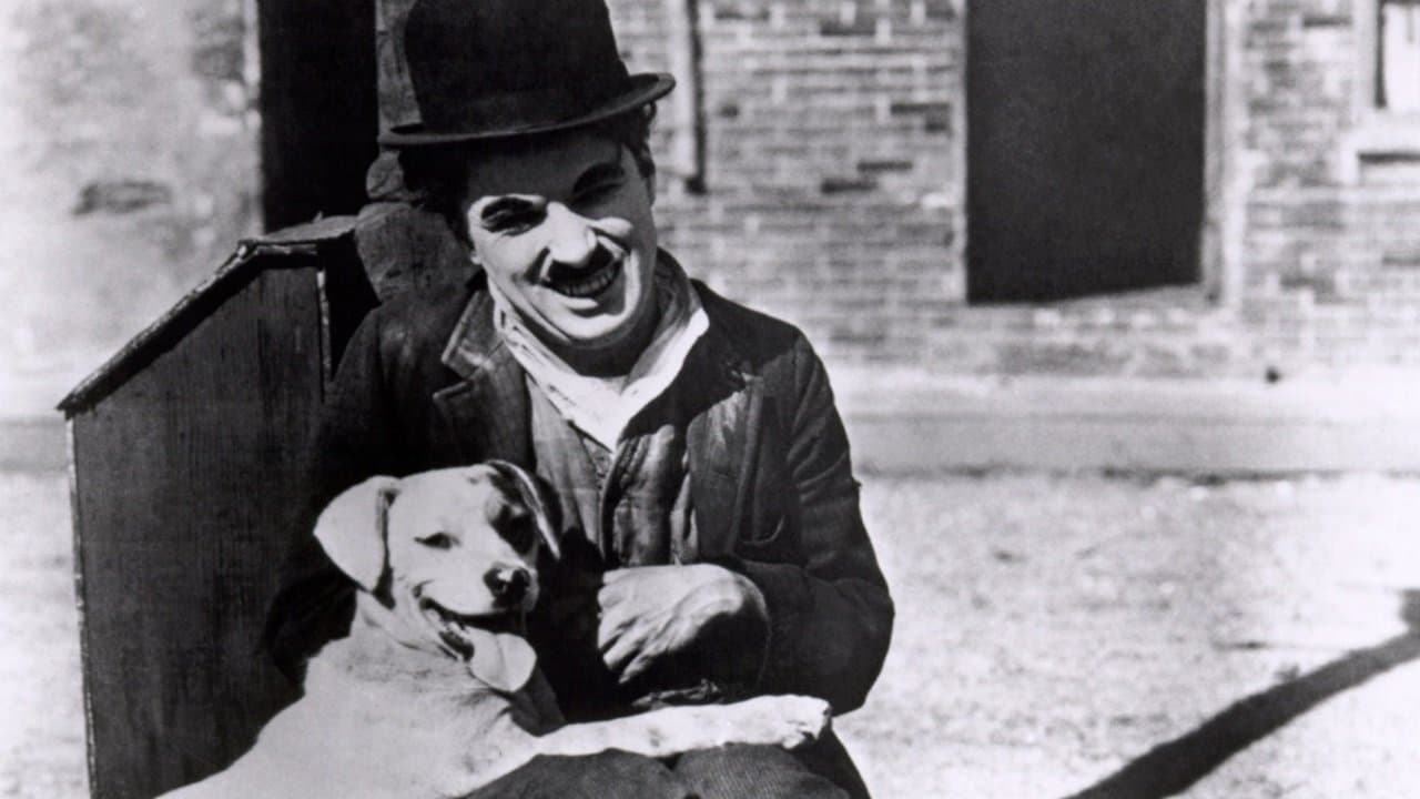 Syd Chaplin