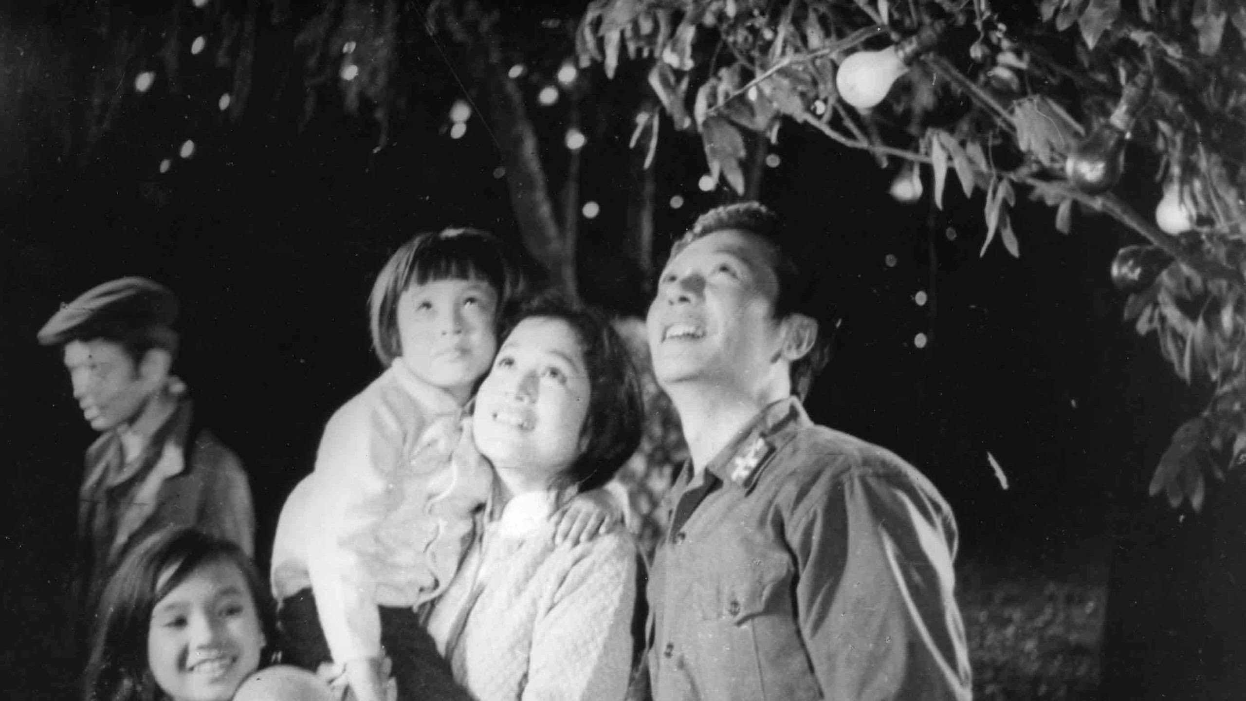 Quỳnh Anh