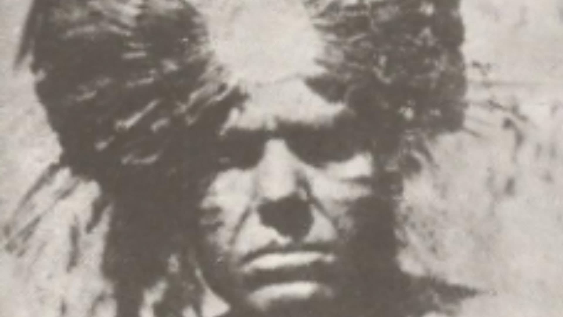 Teixeira Pinto