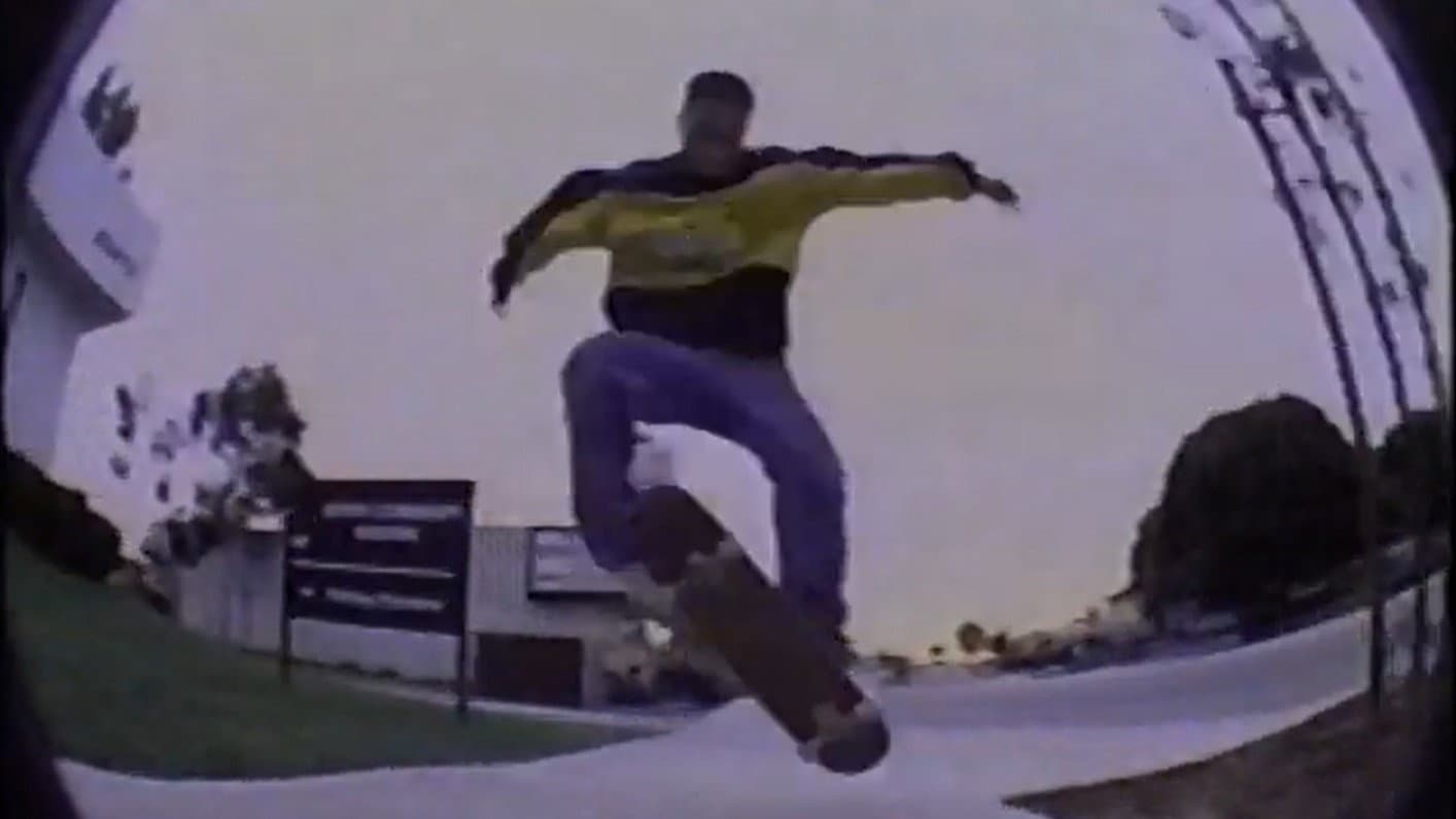 Mike Rosa