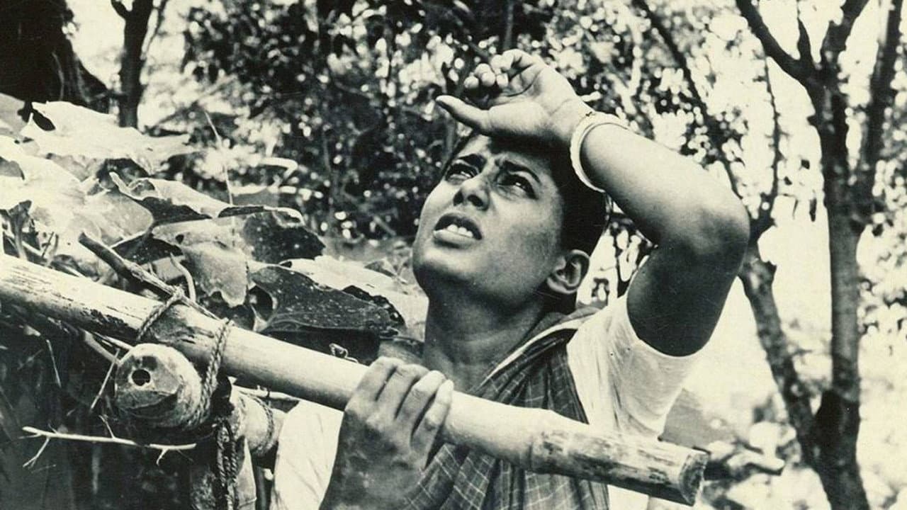 Nilkantha Sengupta