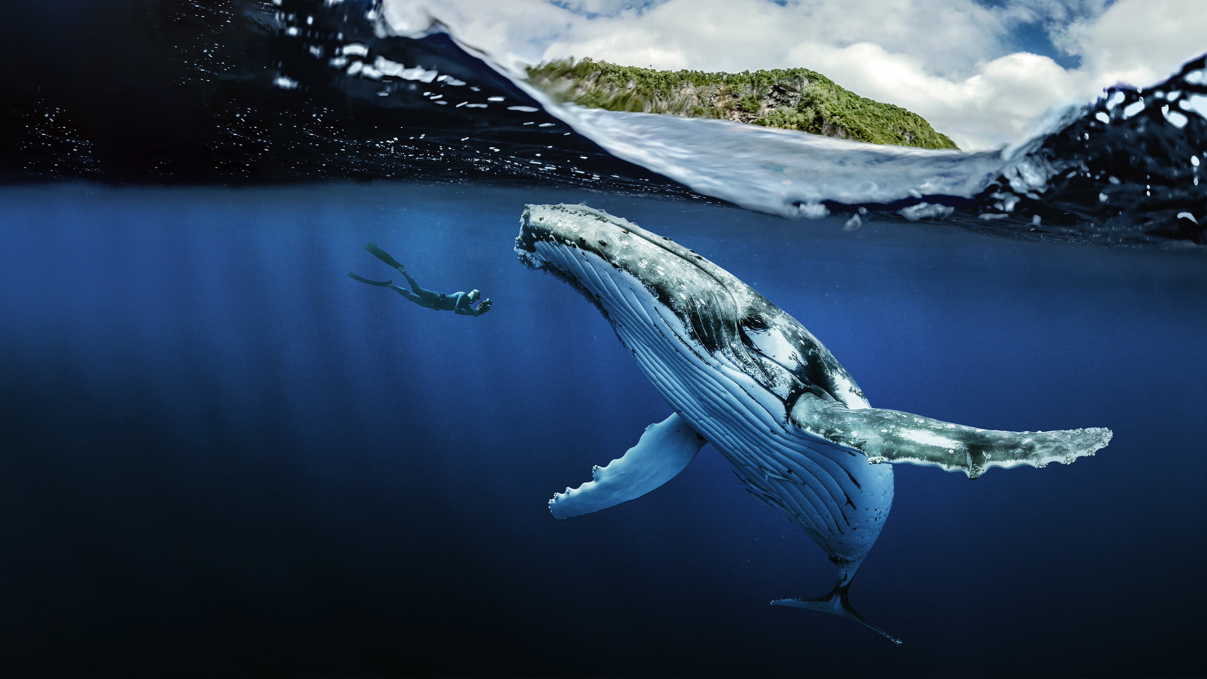 Chasing Ocean Giants