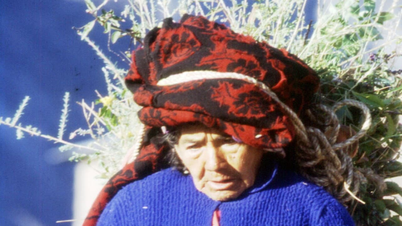 Aurora Colina
