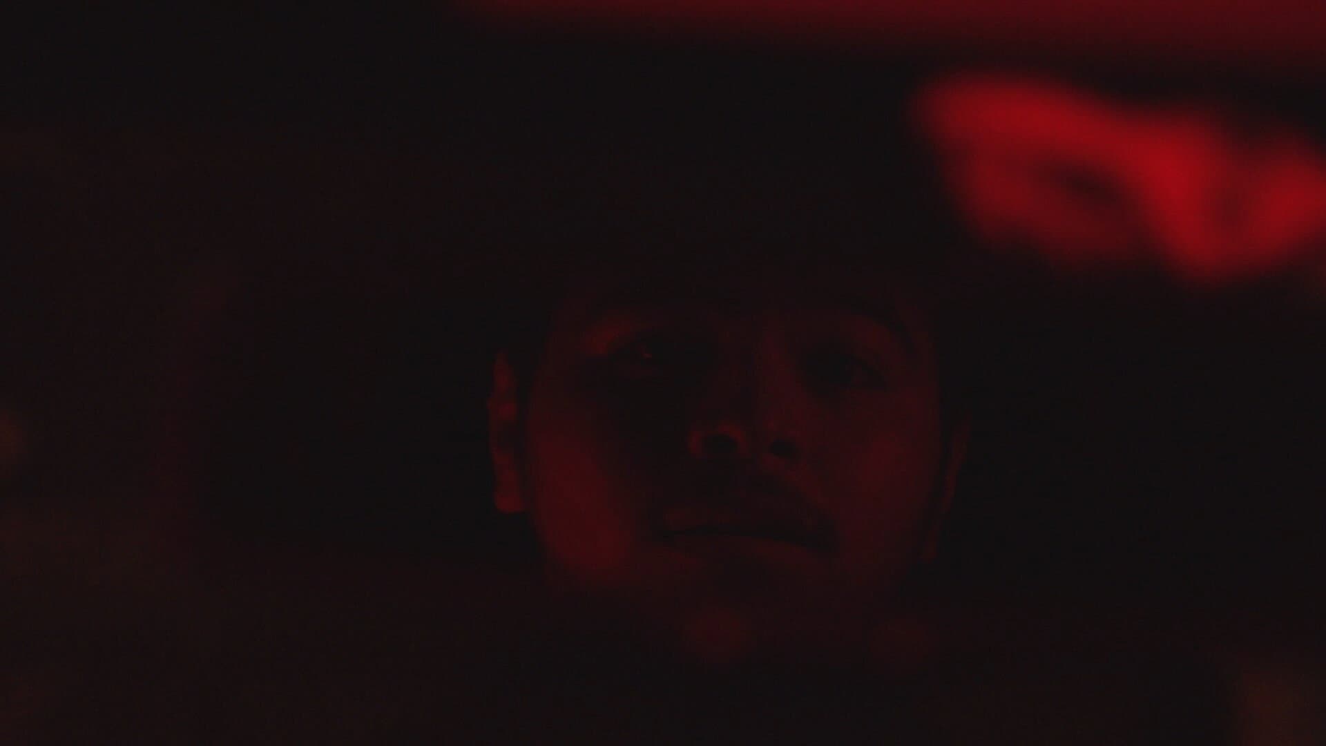 Brandon Cortez