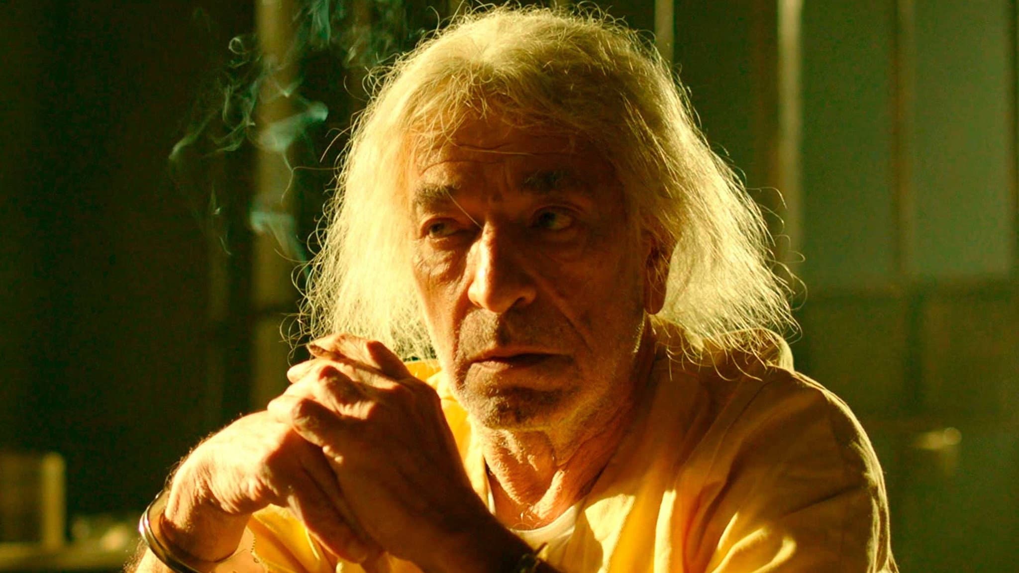 Luiz Amorim