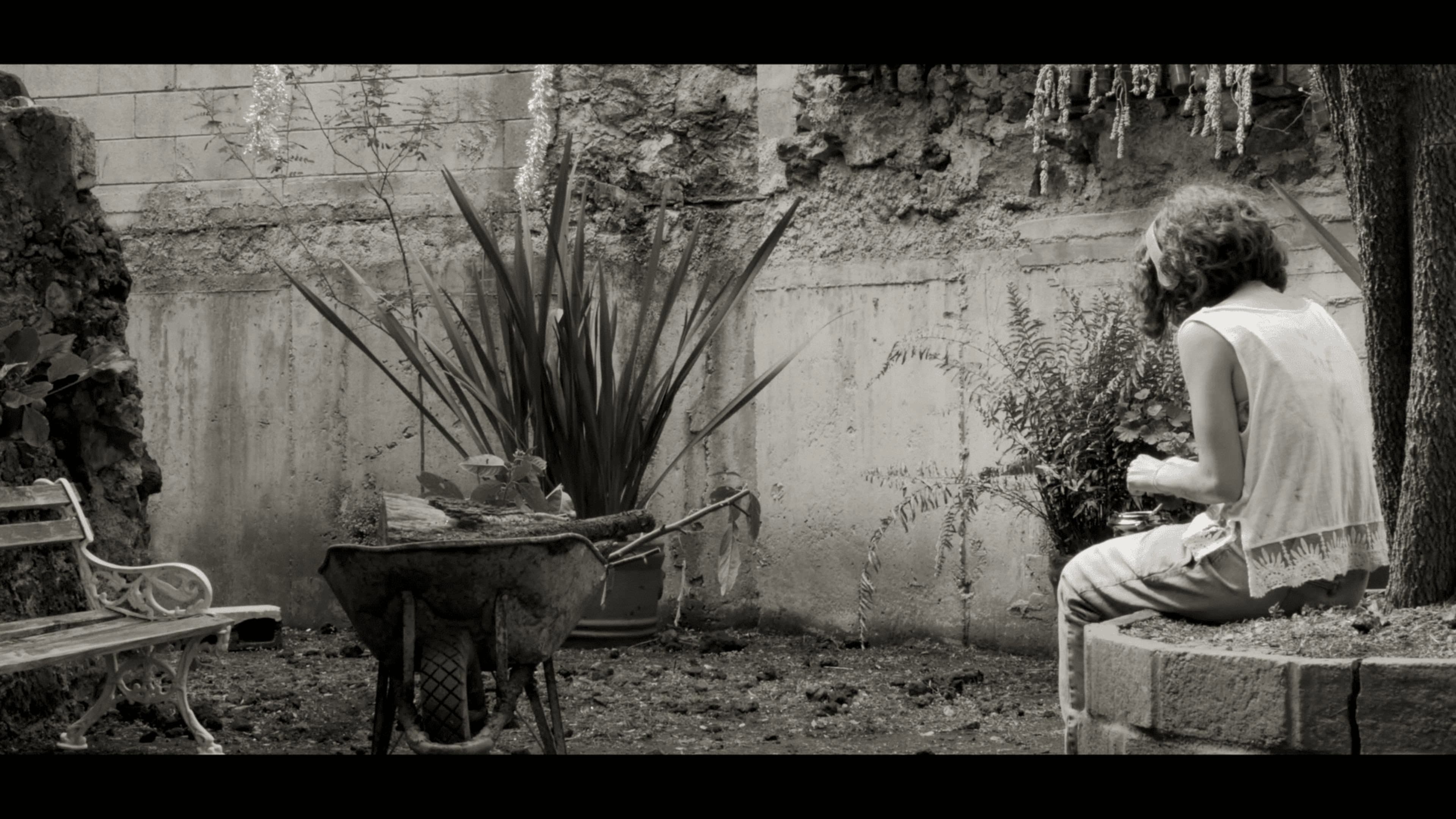 Hamlet Ramírez