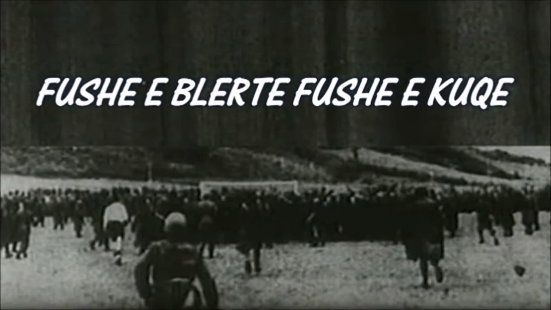 Besnik Bisha