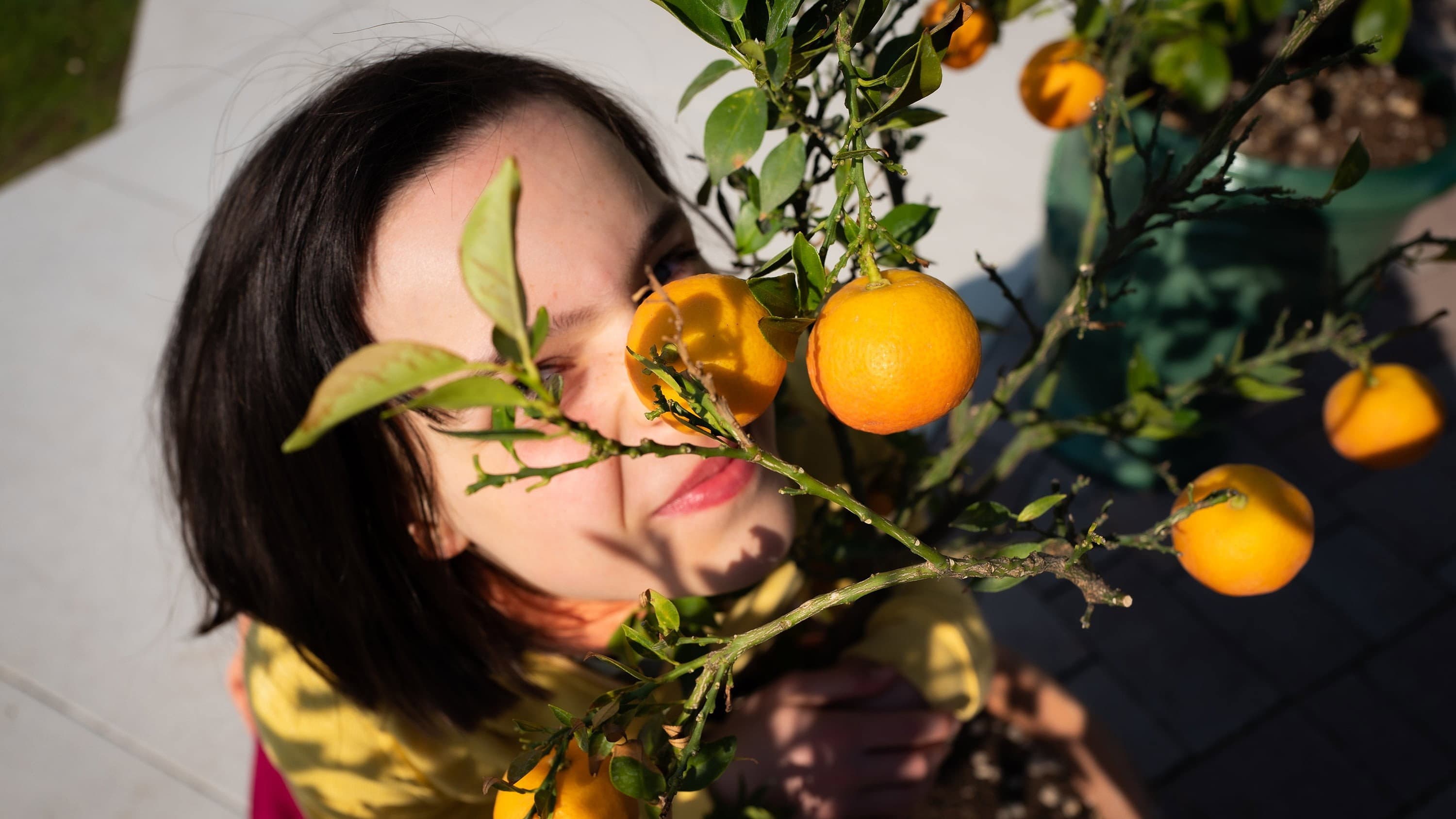 The Scent of Tangerine