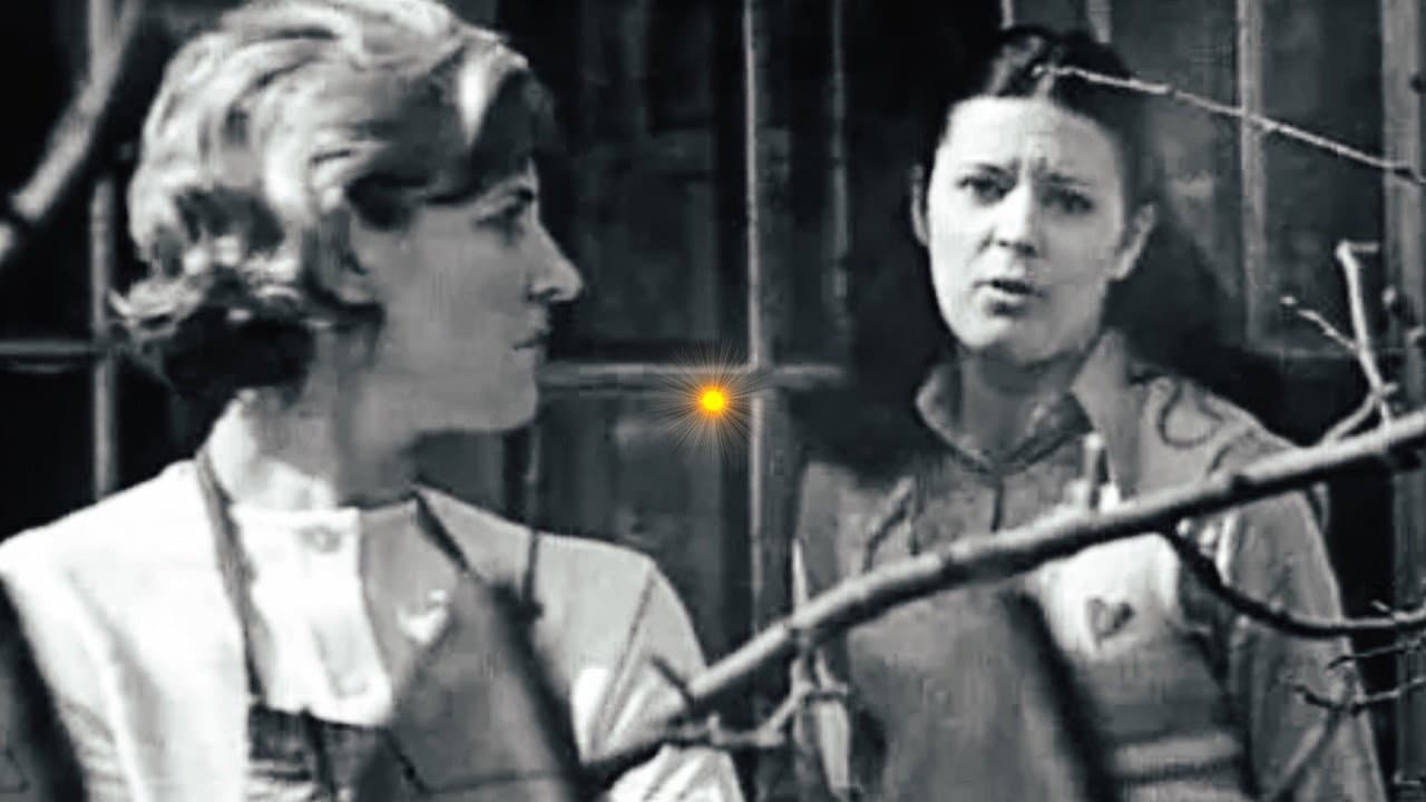 Birutė Didžgalvytė