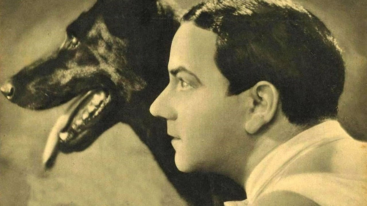 Alfred Haase