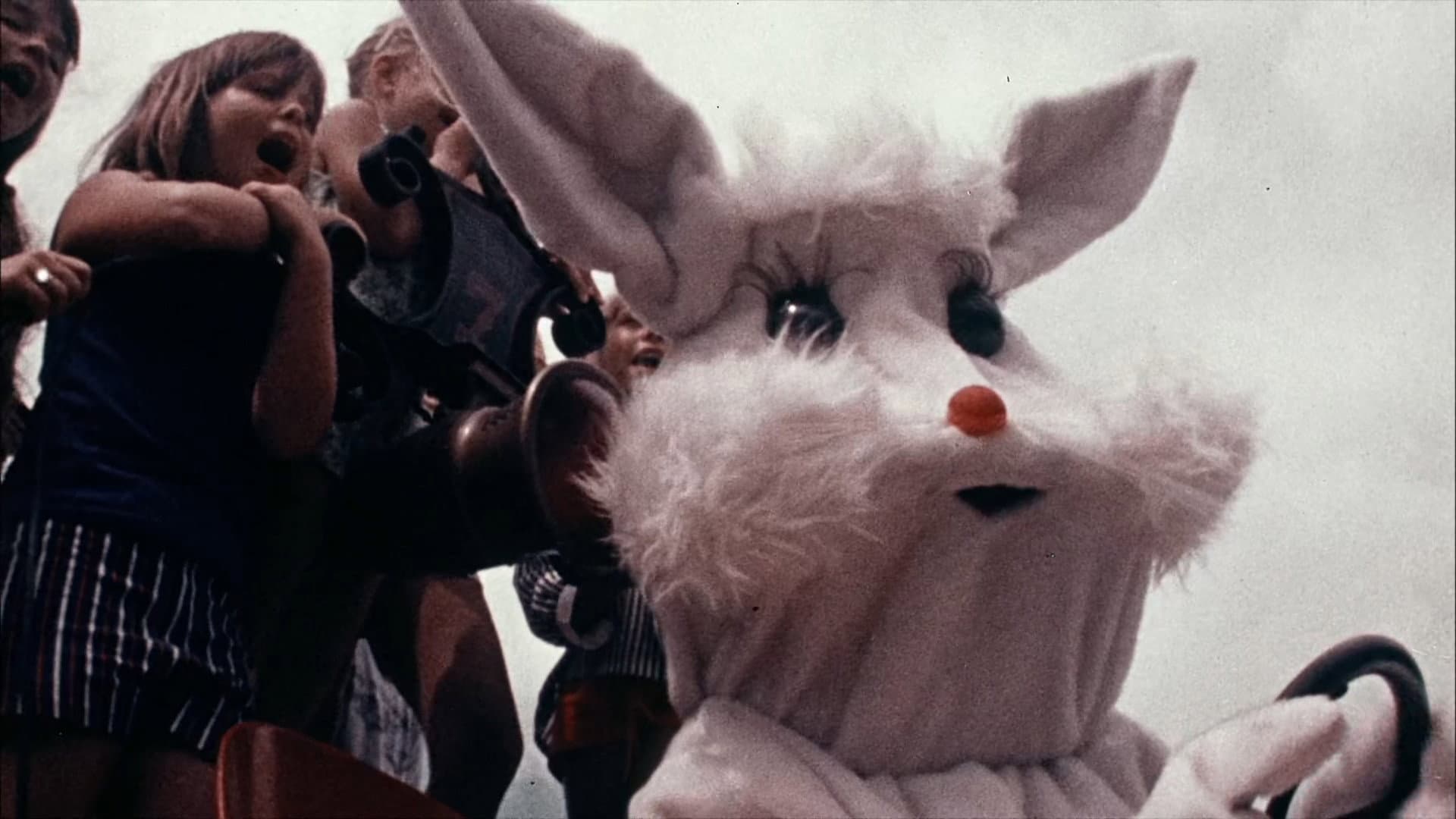Pat Morrell