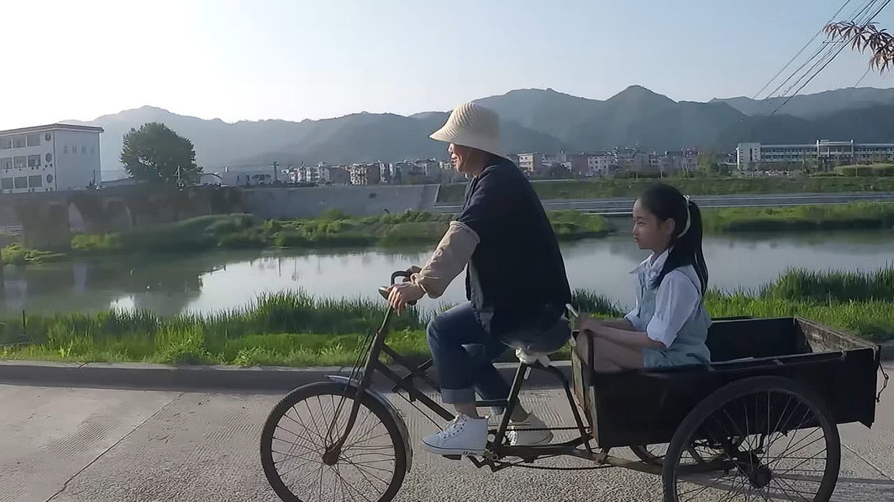 Zhang Aiyue