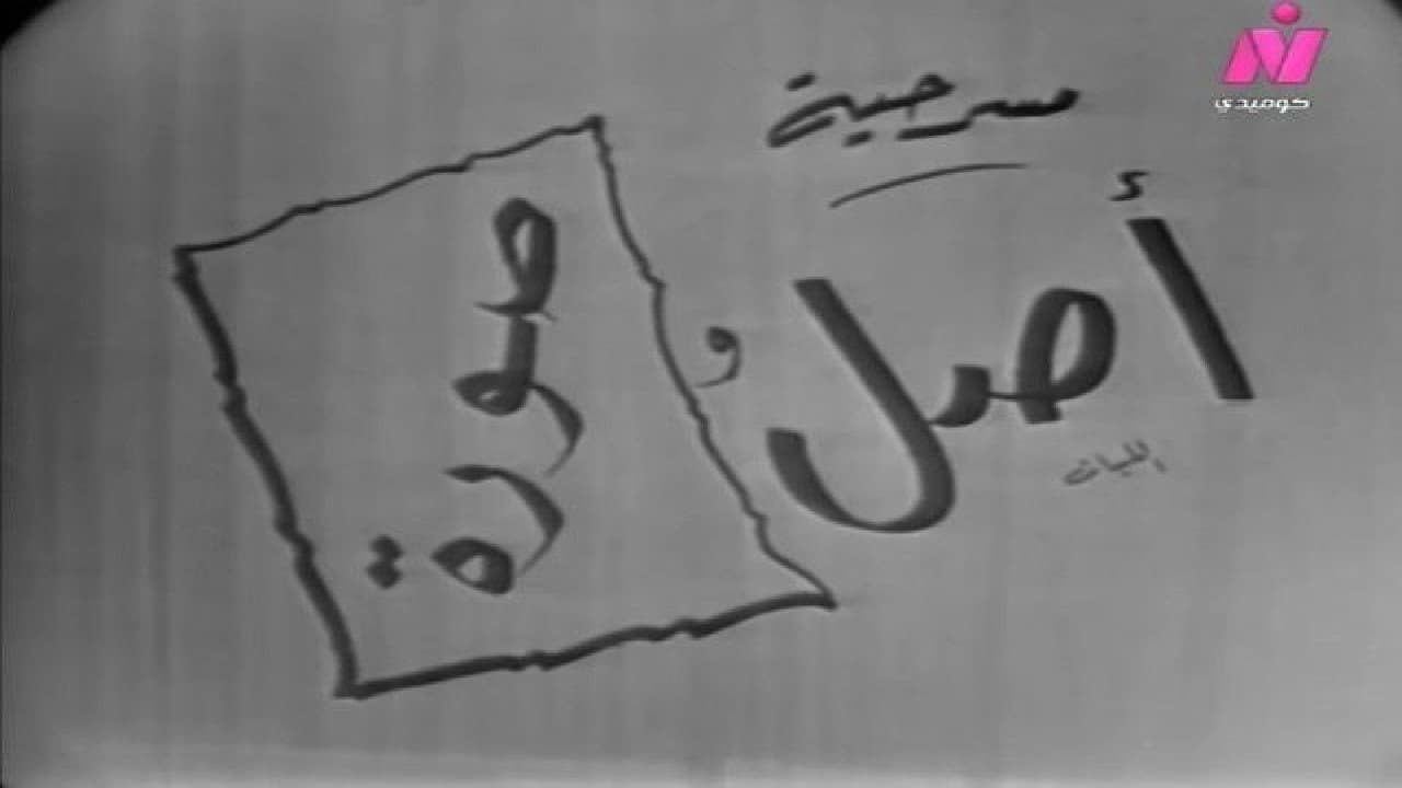 Bothina Hassan