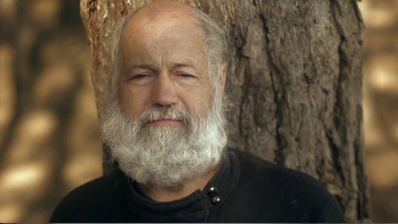 Matvey Stolyarov