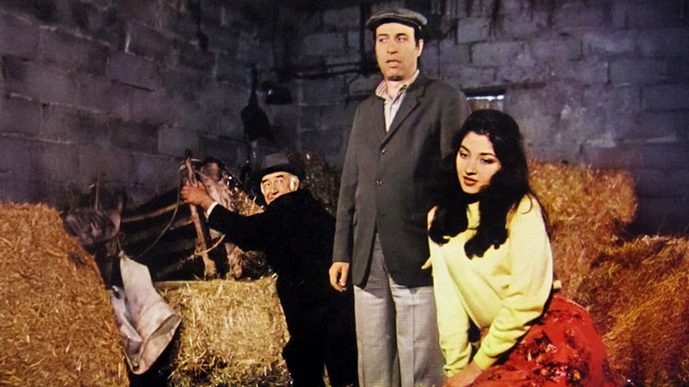 Nazan Saatçi