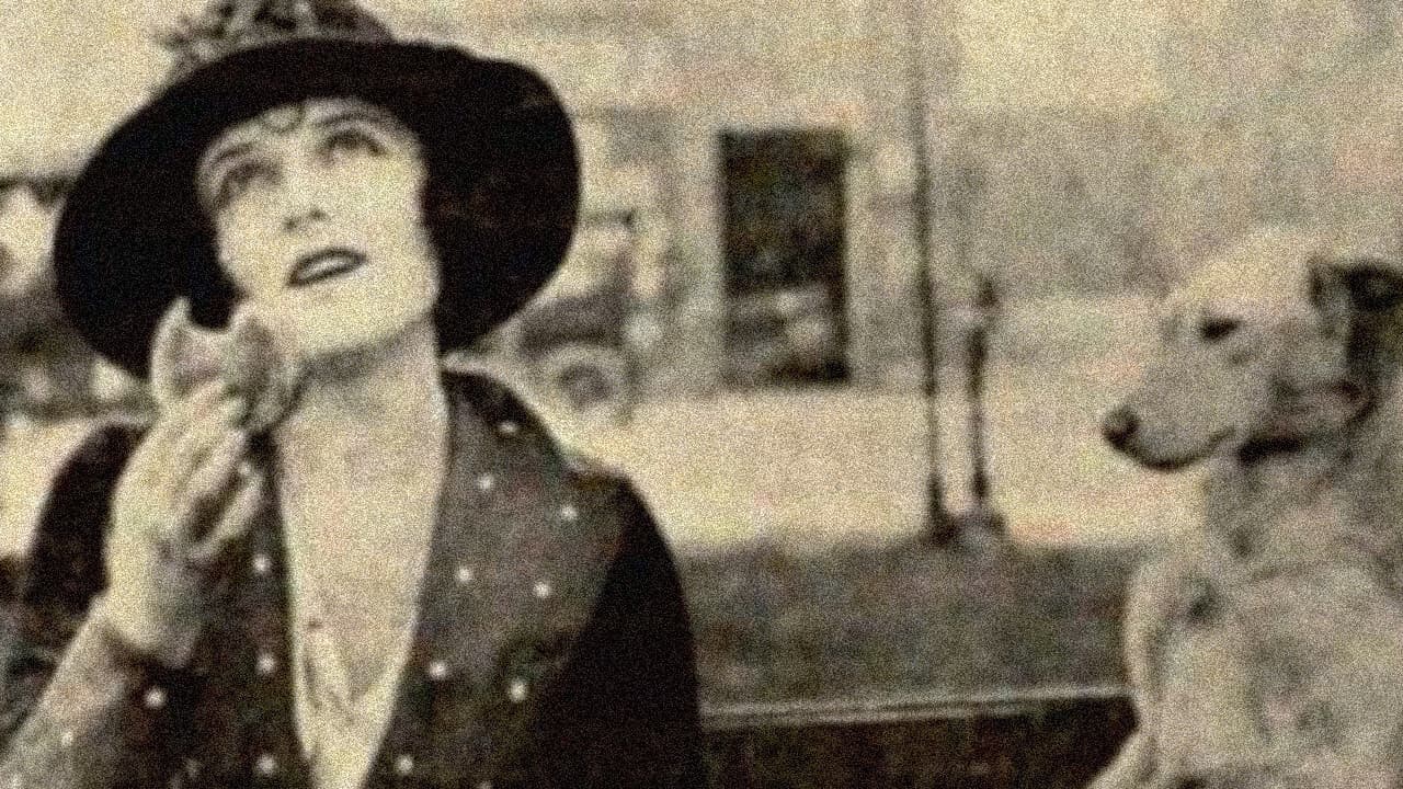 Lottie Kruse