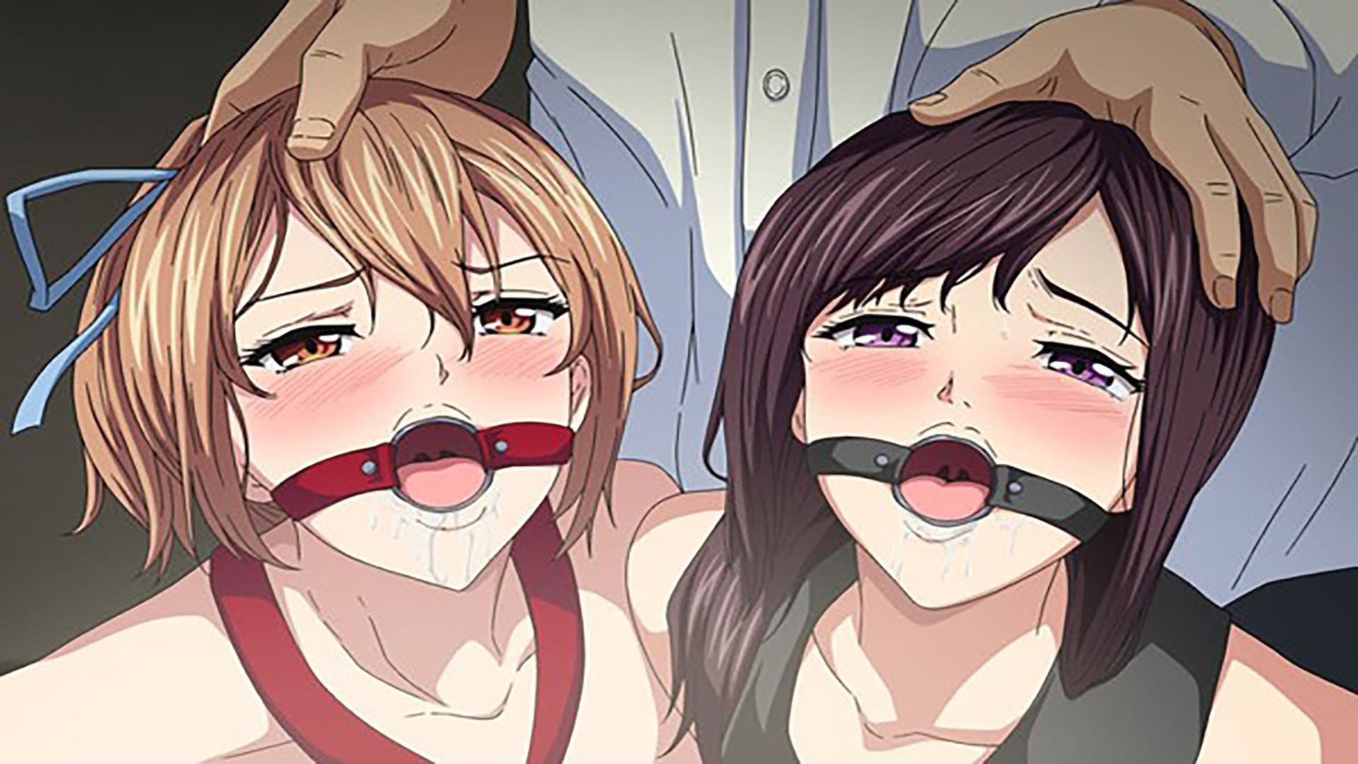 Sakuramiya Shimai no Netorare Kiroku