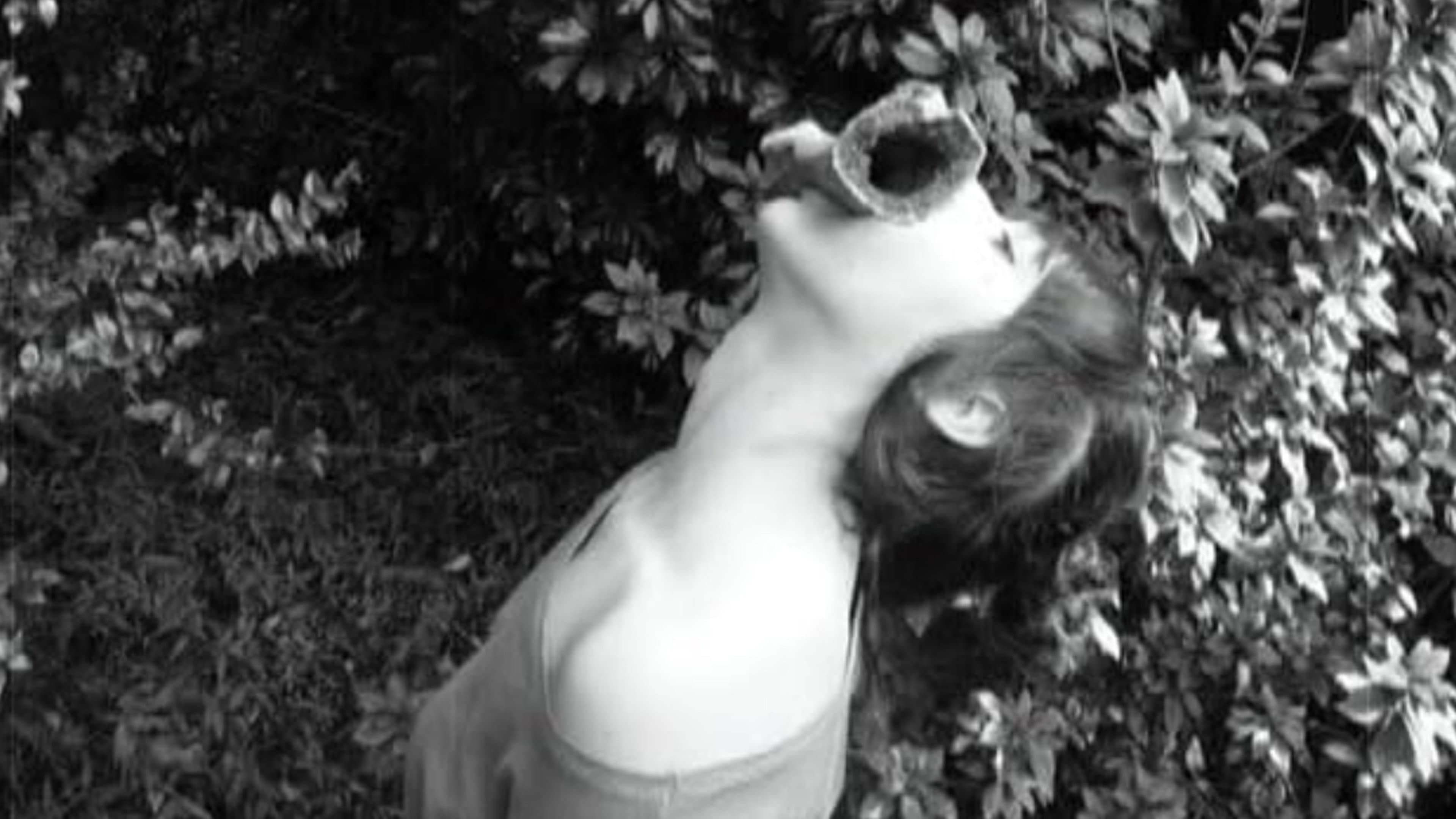 Rachel S. Busse