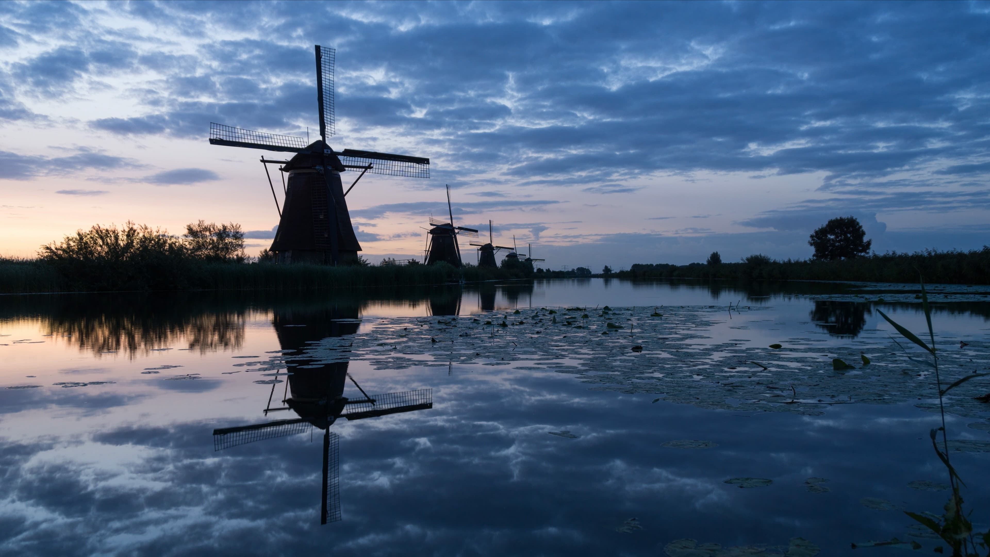 Marianne Thieme