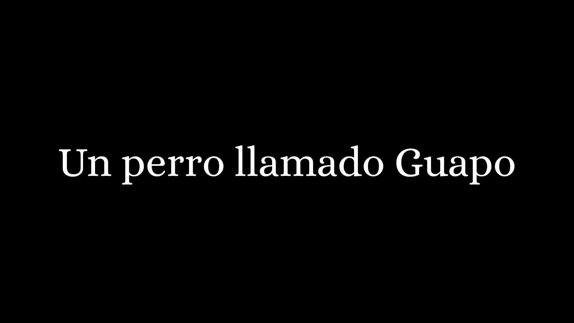 Un Perro Llamado Guapo