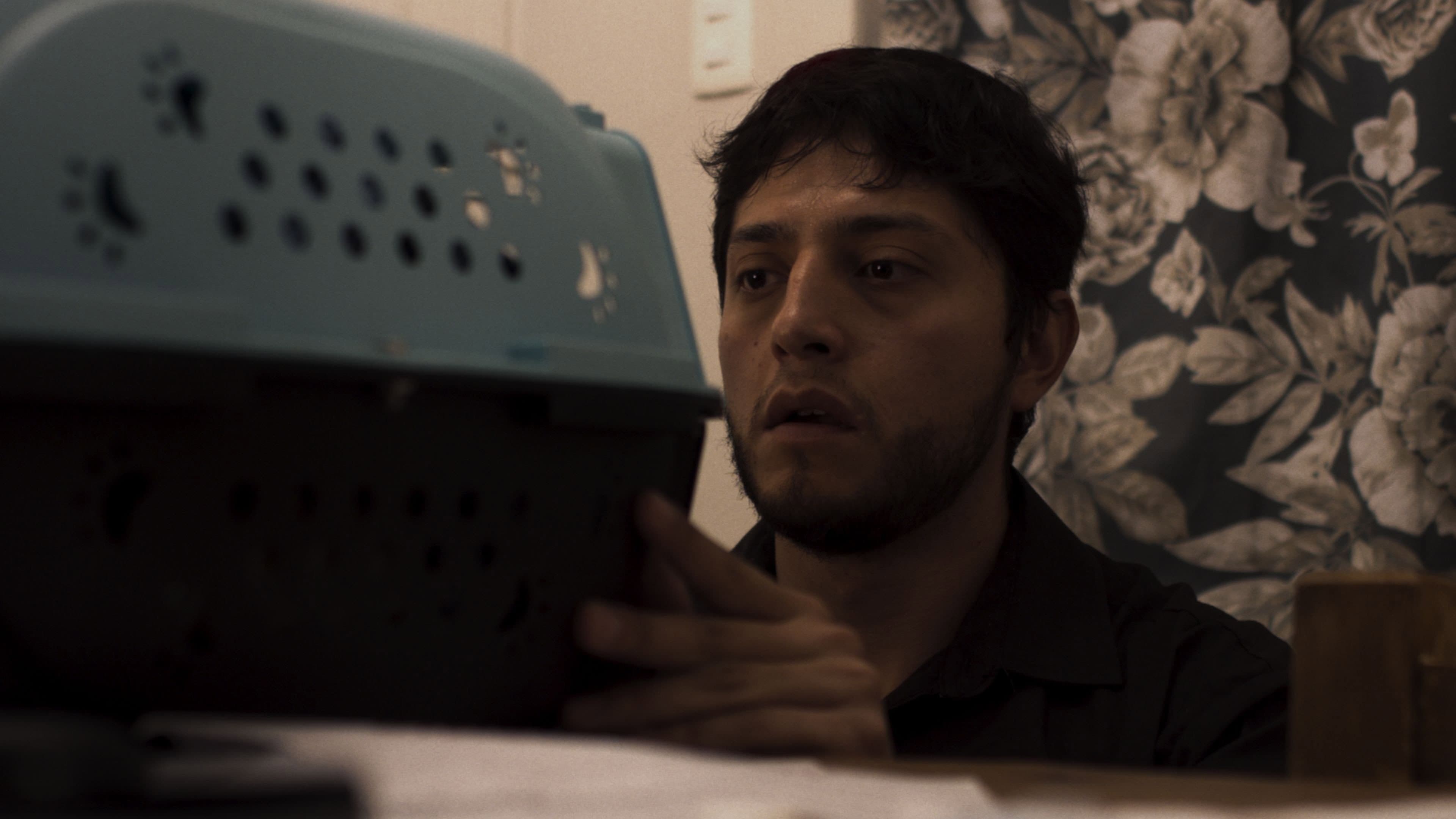 Carlos Shock Luna