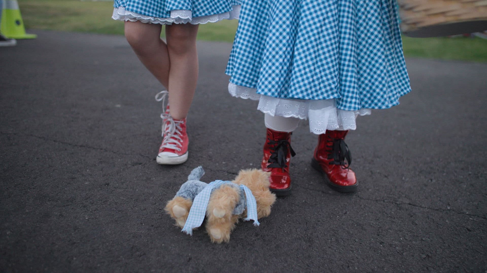 It's Dorothy!