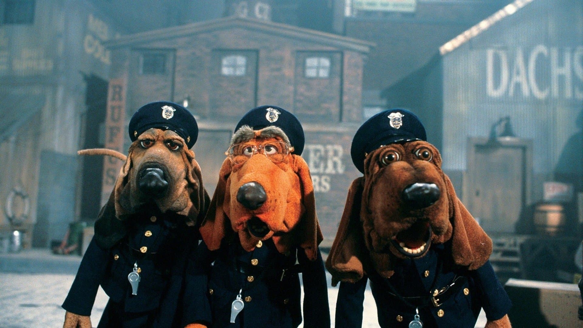 Dog City