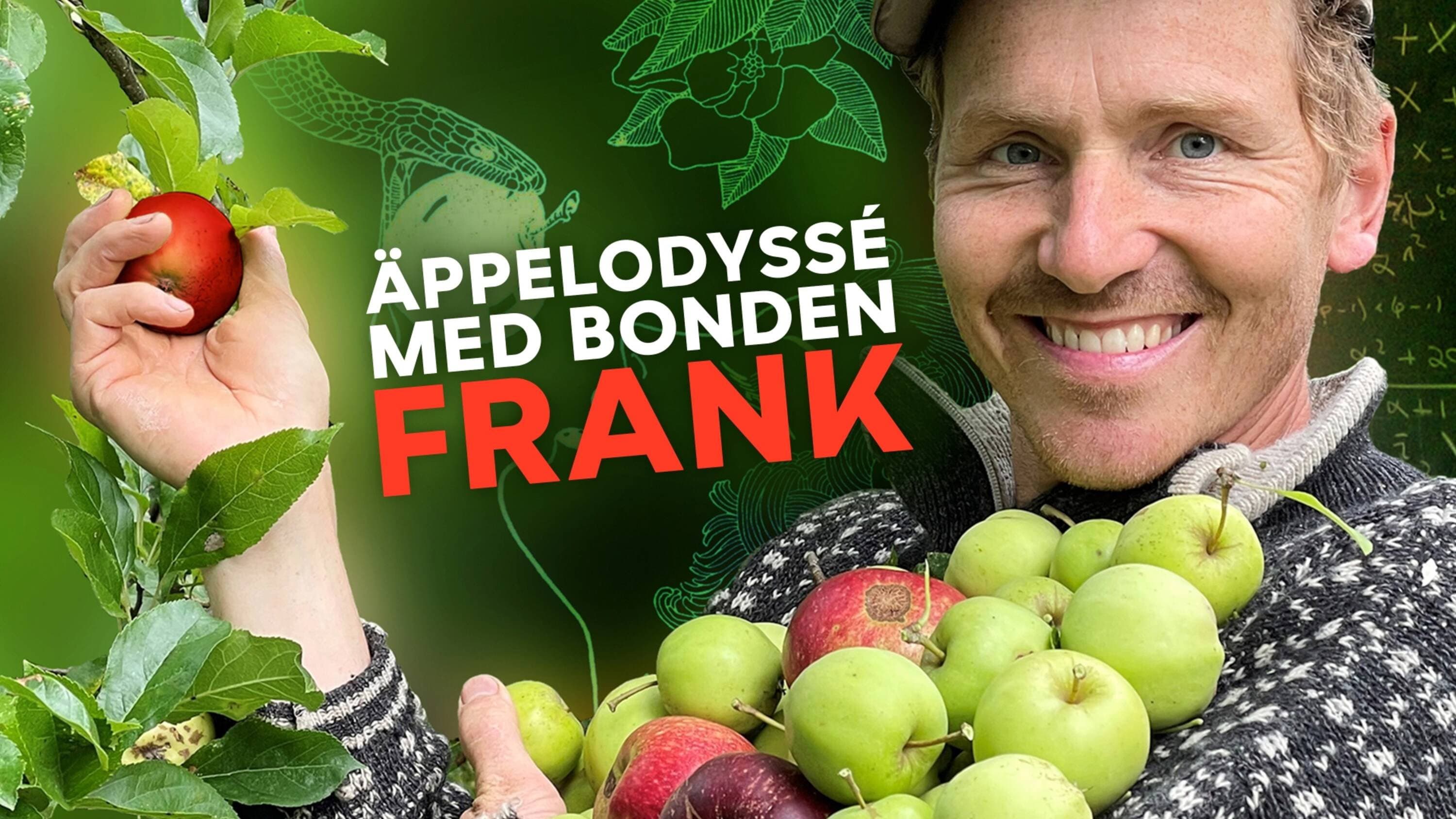 Frank Erichsen