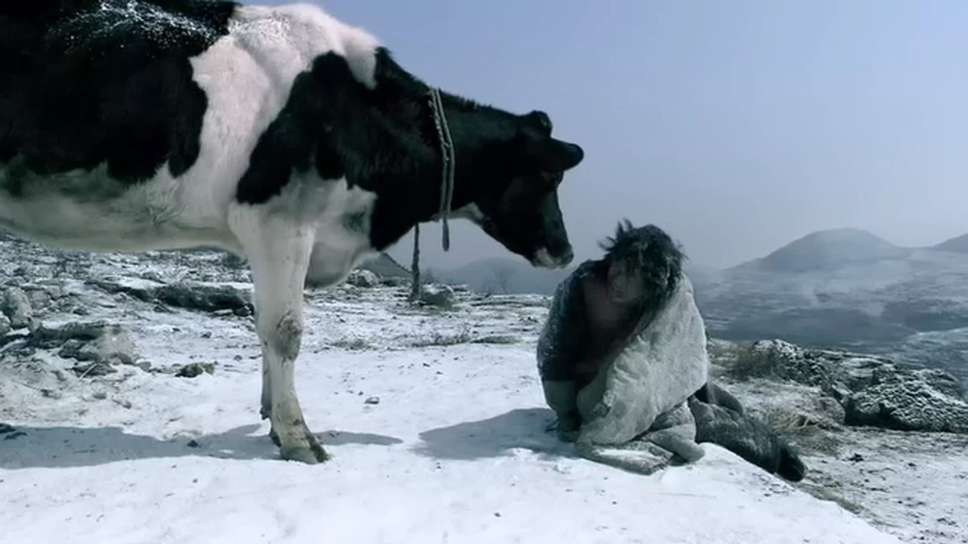 Tao Zeru