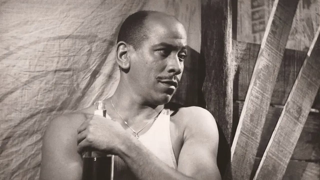 Orángel Delfín