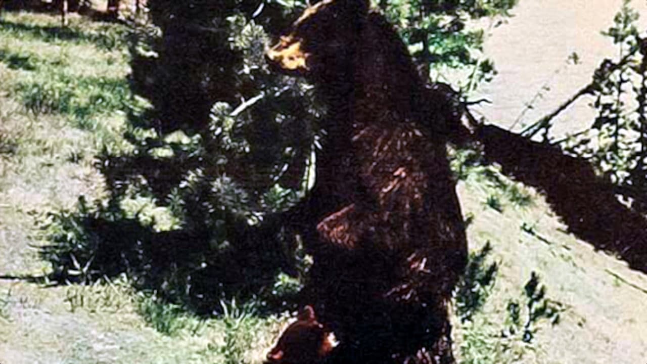 Howard Hill