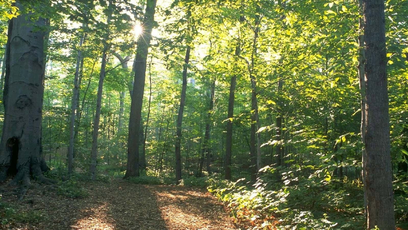 On Sacred Ground