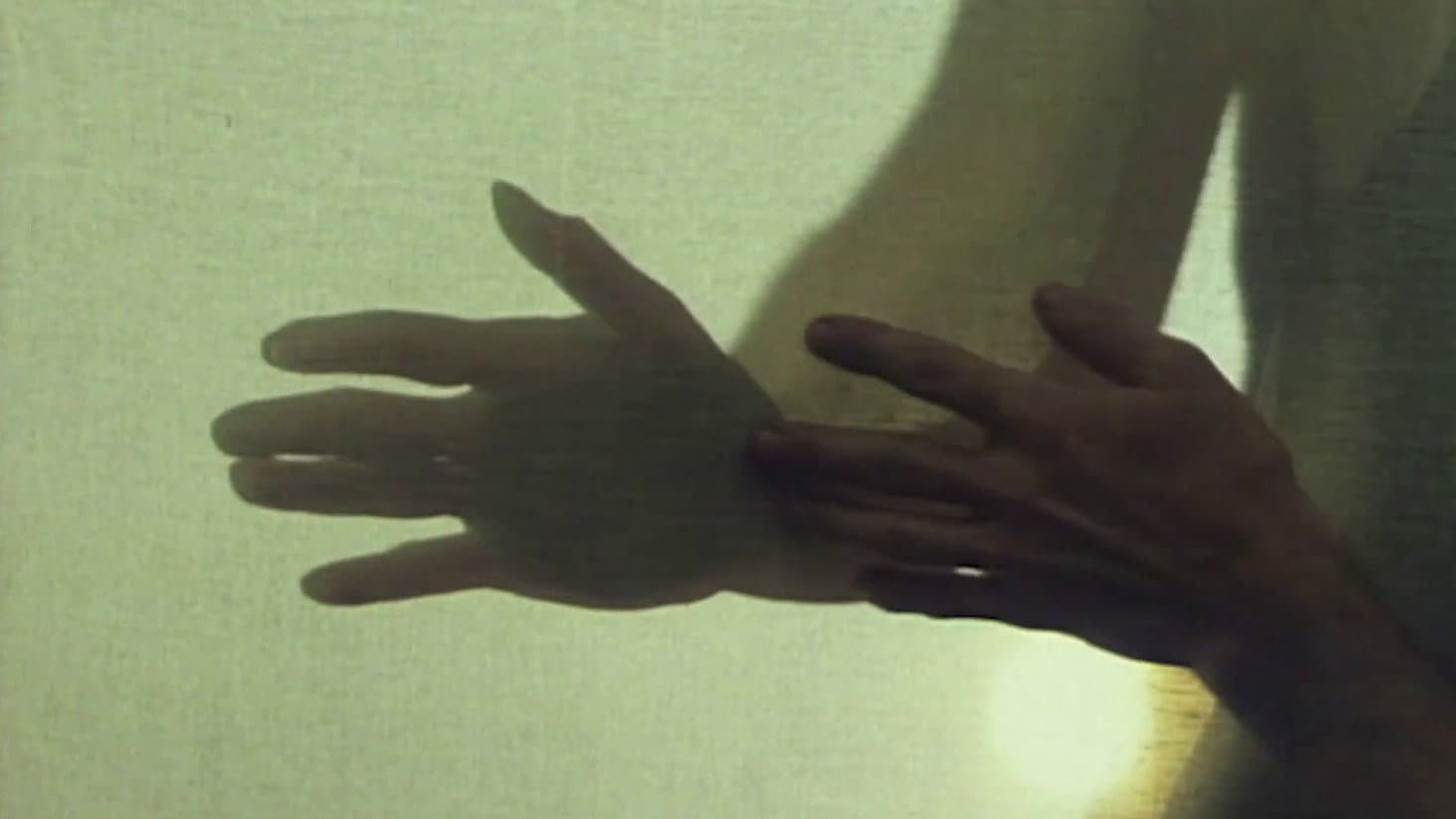 Romana Scheffknecht