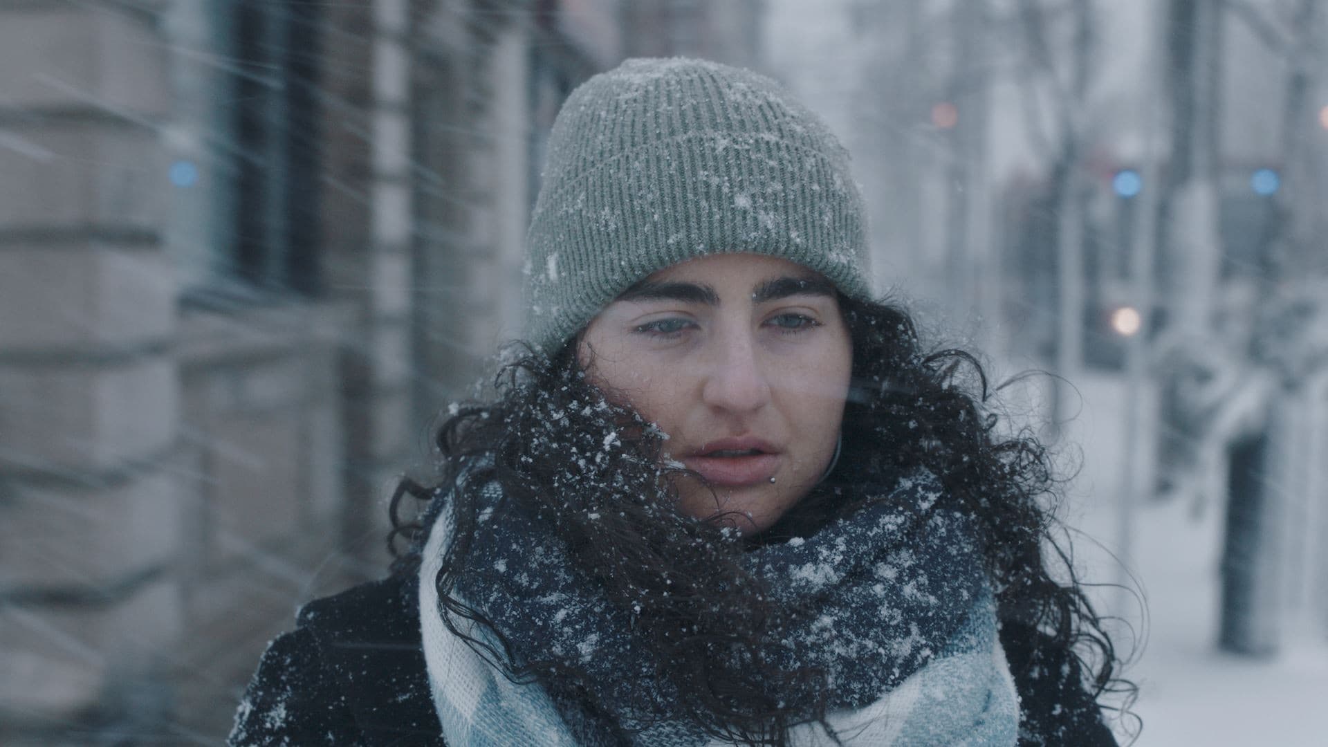 Sandy El-Bitar