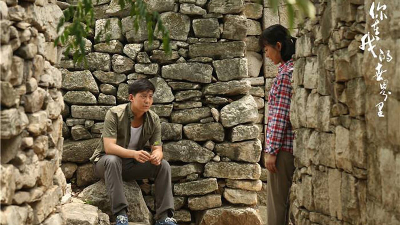 Lan Zhang