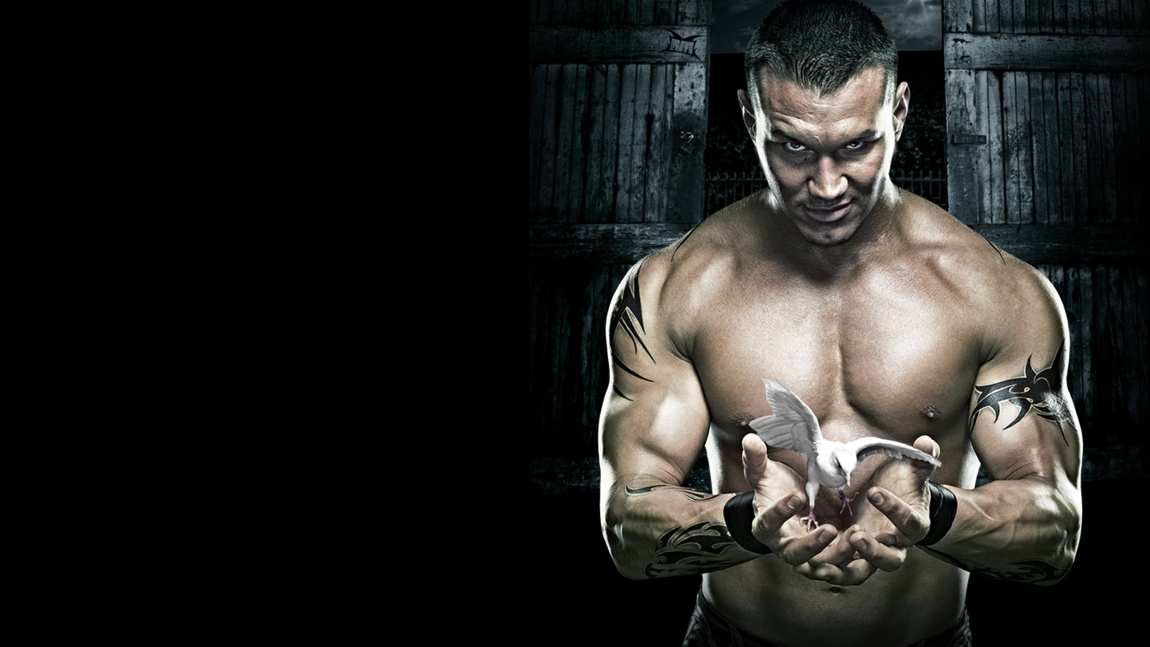 WWE No Mercy 2007