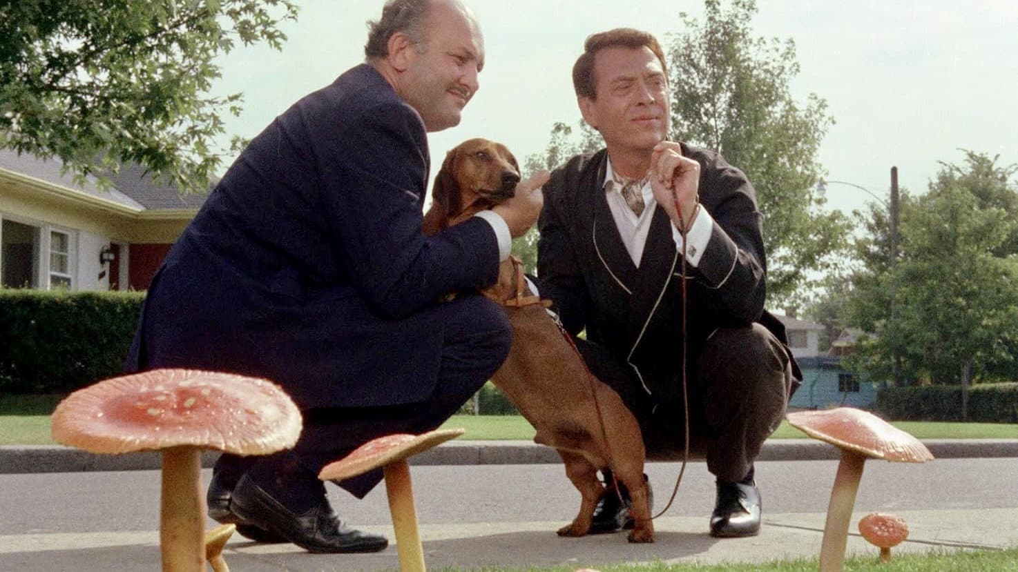 Jacques Labrecque